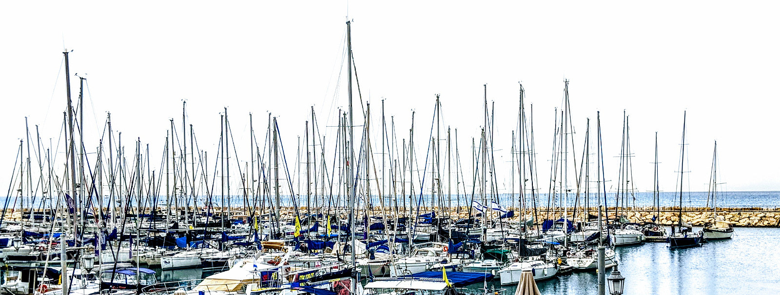 Google Pixel 2 XL sample photo. Forest of masts photography