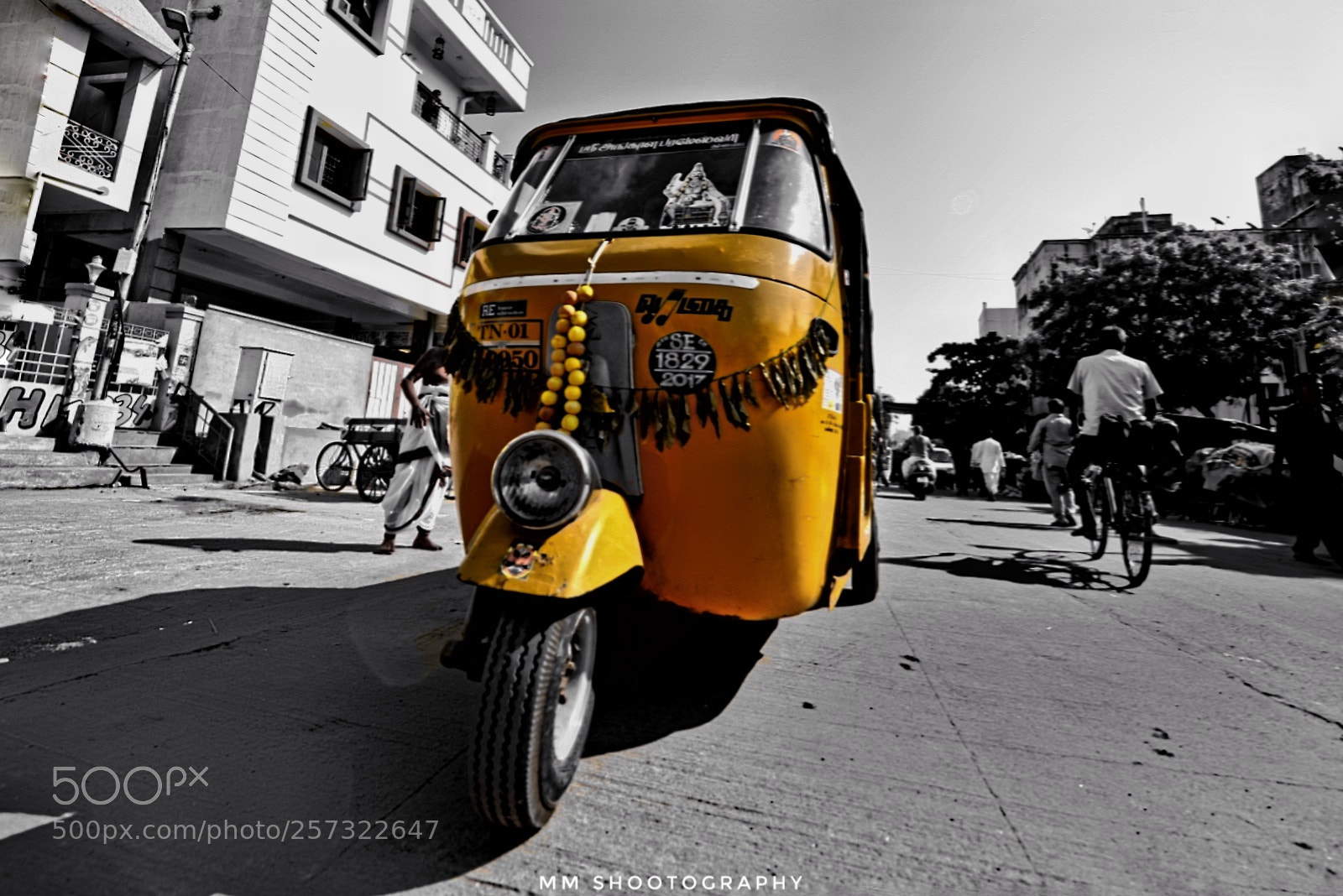 Nikon D610 sample photo. Yellow=chennai auto photography