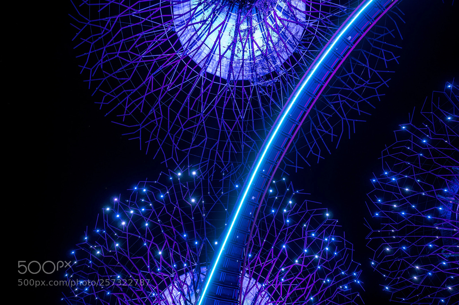 Olympus OM-D E-M5 II sample photo. Supertree, gardens by the photography
