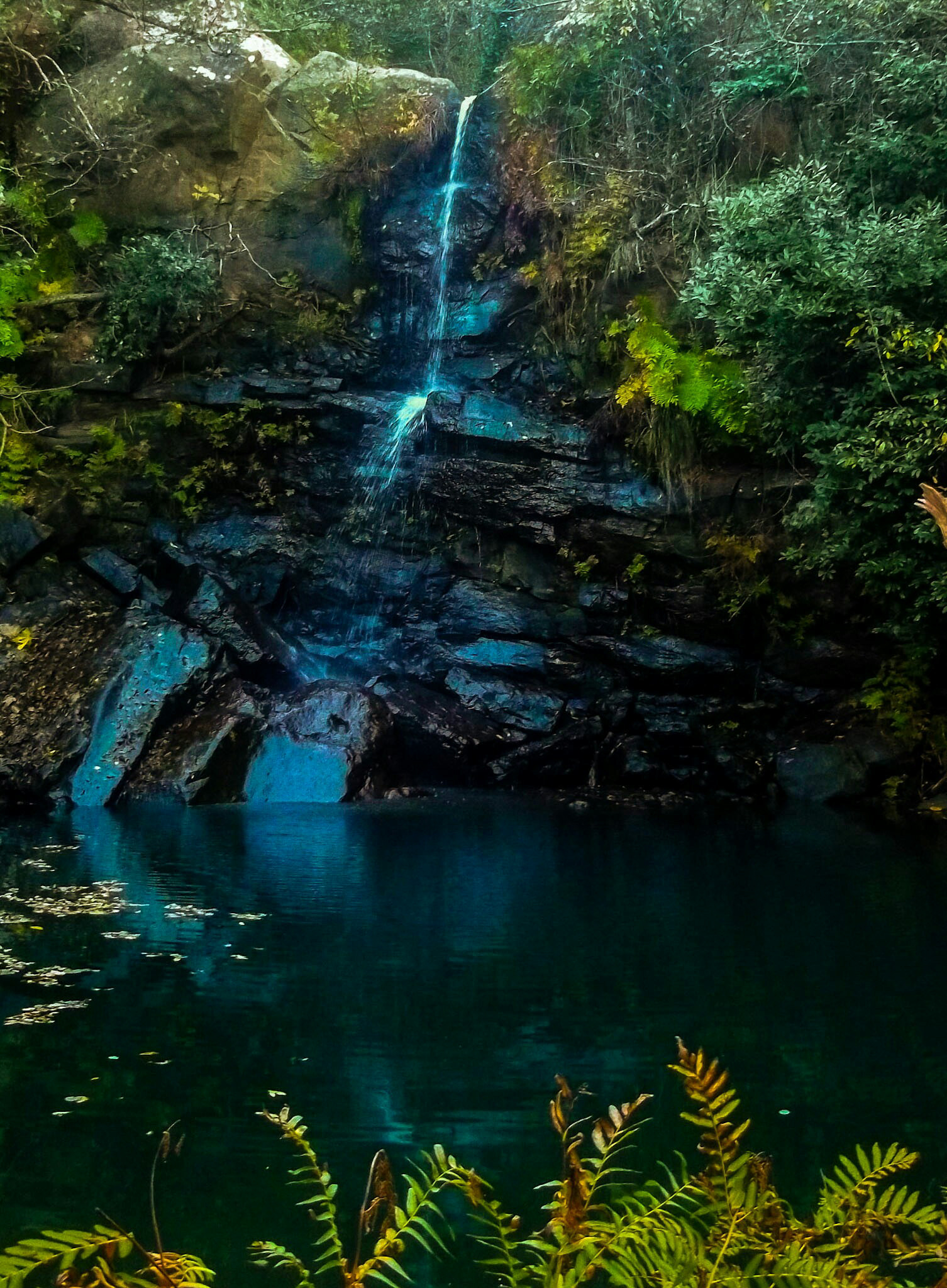 Kodak EASYSHARE M531 DIGITAL CAMERA sample photo. Garganta del capitan photography
