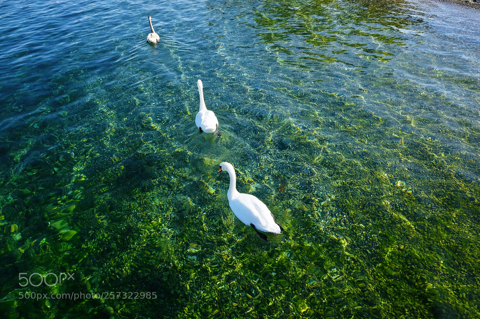 Fujifilm X70 sample photo. Genève photography