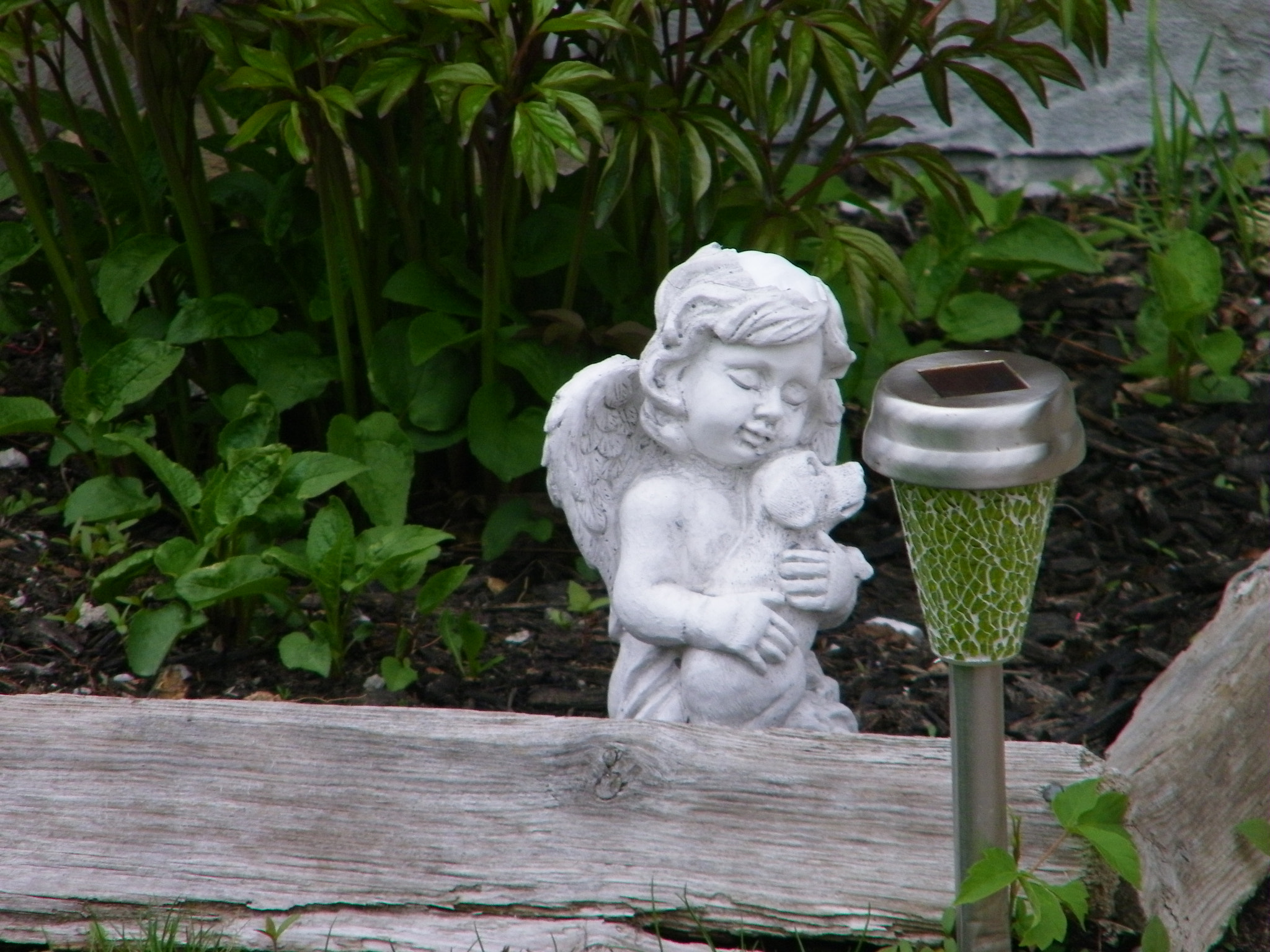 Kodak EASYSHARE Z1015 IS DIGITAL CAMERA sample photo. Watching the garden photography