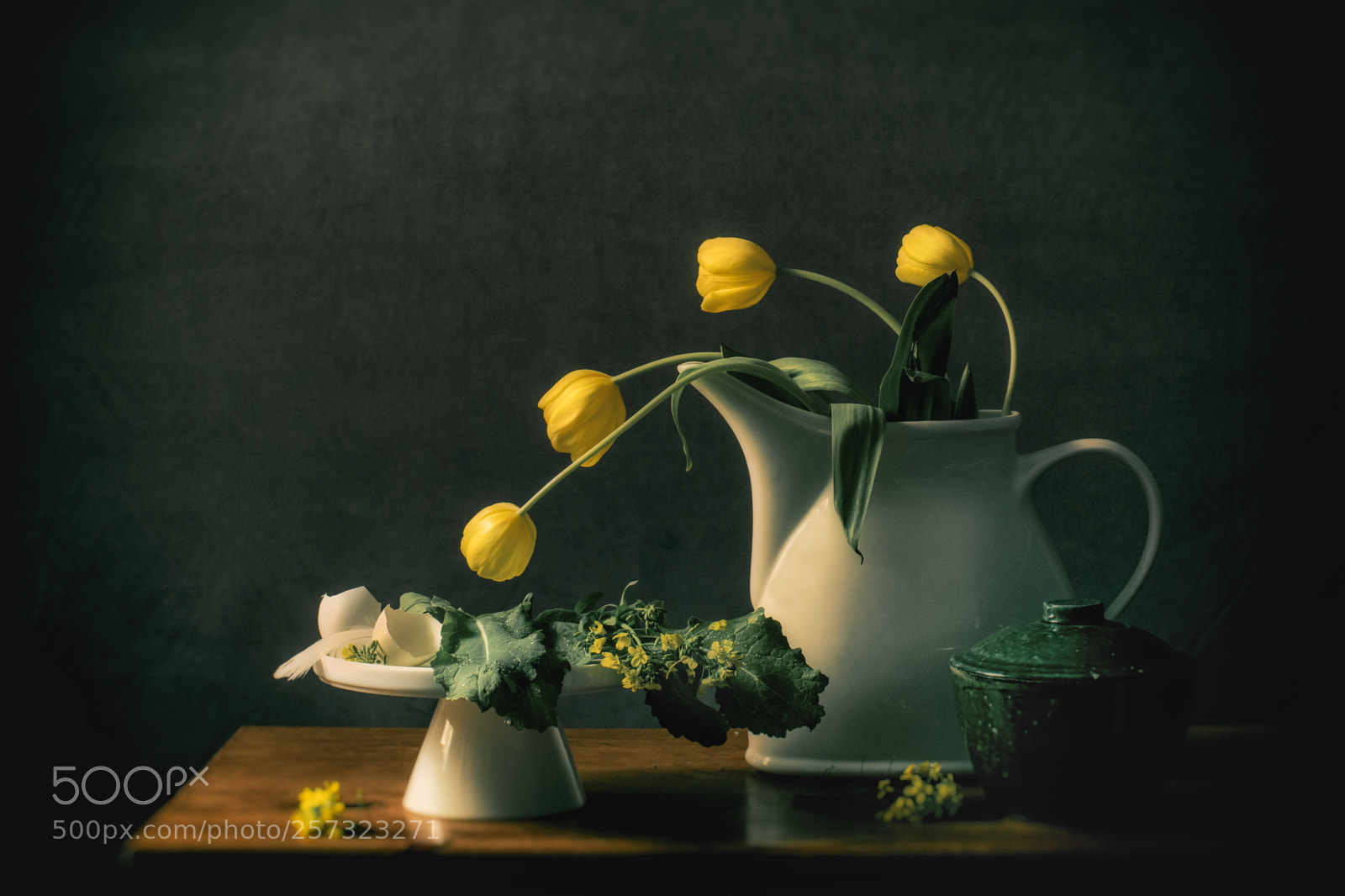 Nikon D850 sample photo. Reaching out photography