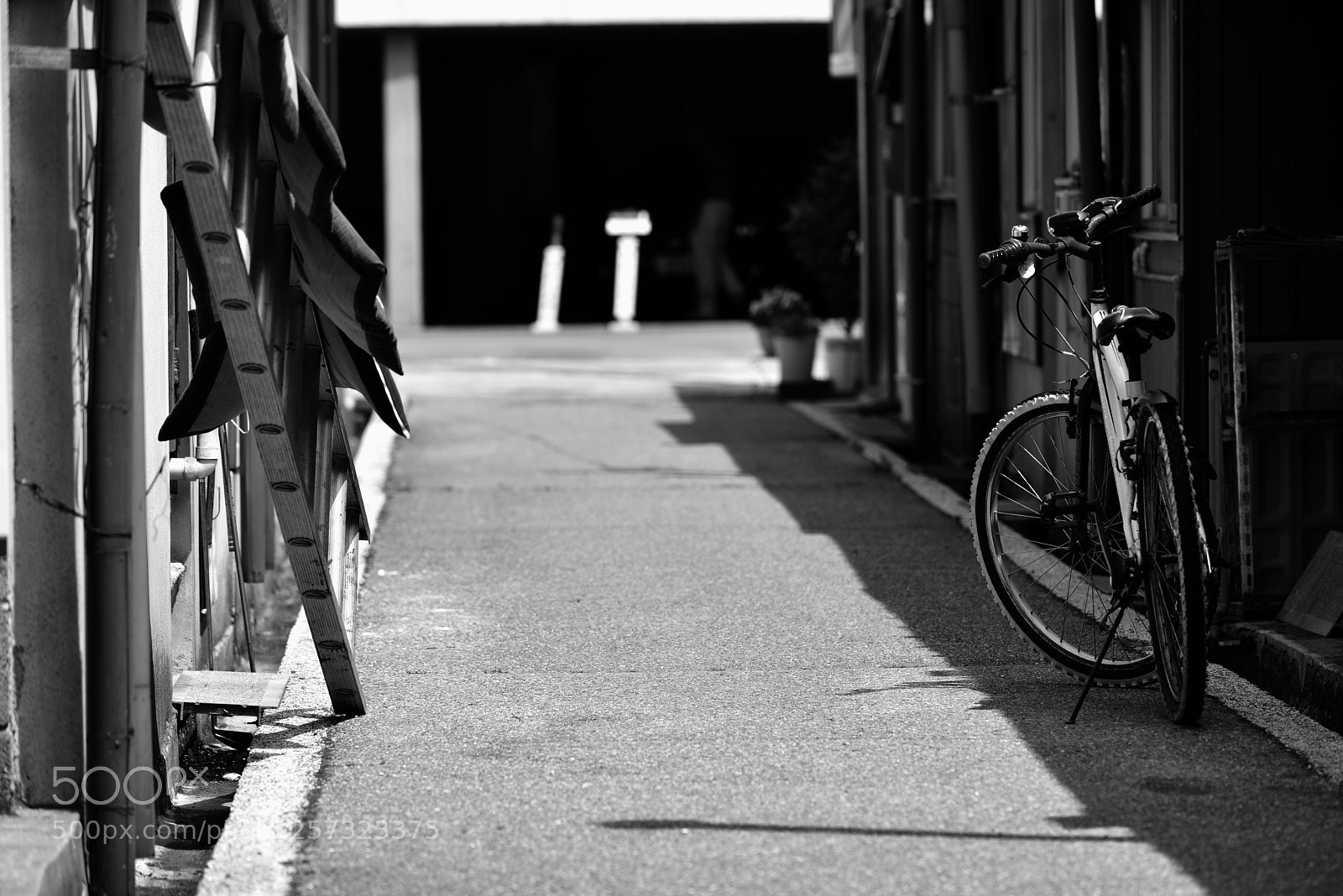 Nikon D810 sample photo. An alley d810 photography