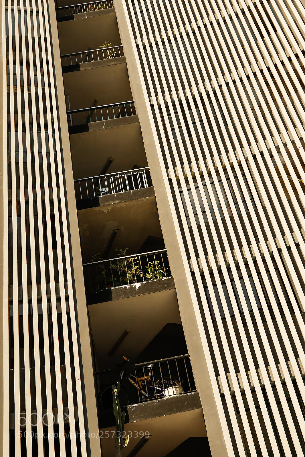 Canon EOS 7D Mark II sample photo. Edificio 4 photography