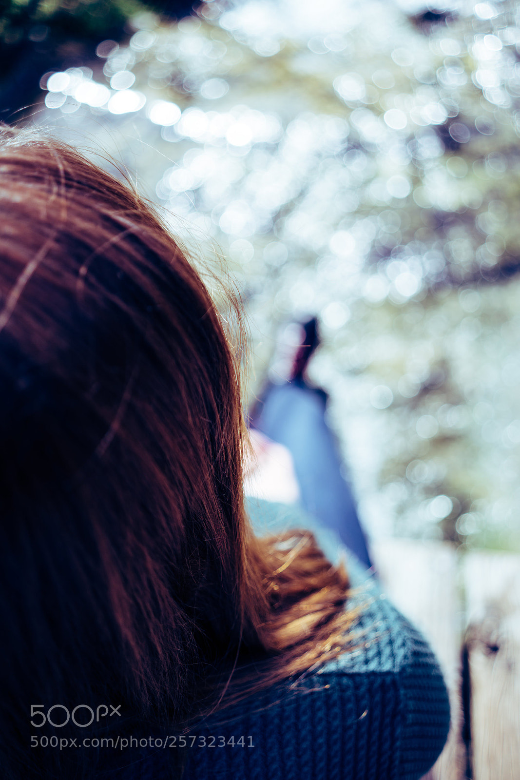 Sony a7R II sample photo. The girl under the photography