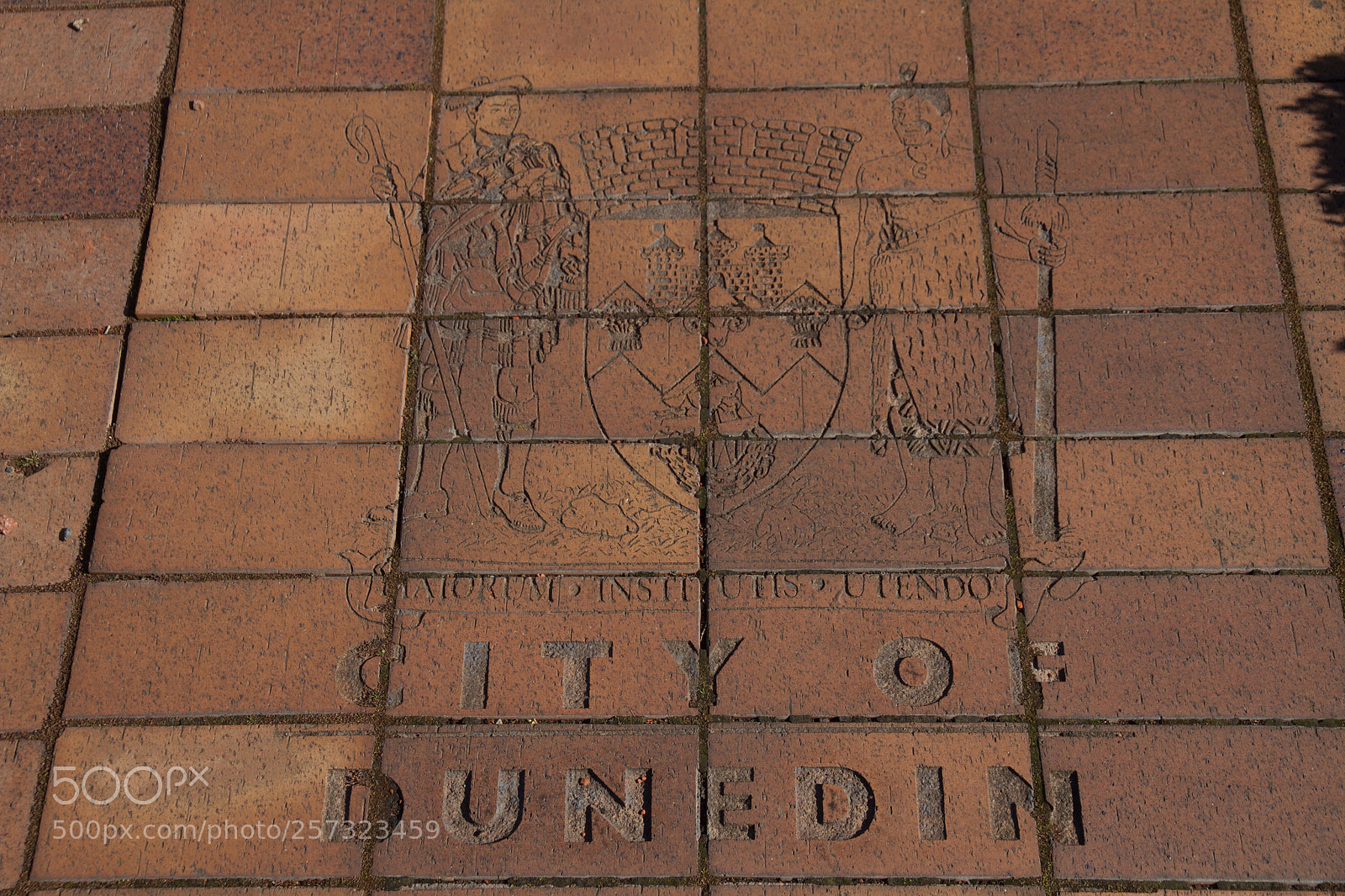 Canon EOS 7D sample photo. Tiles outside dunedin rail photography
