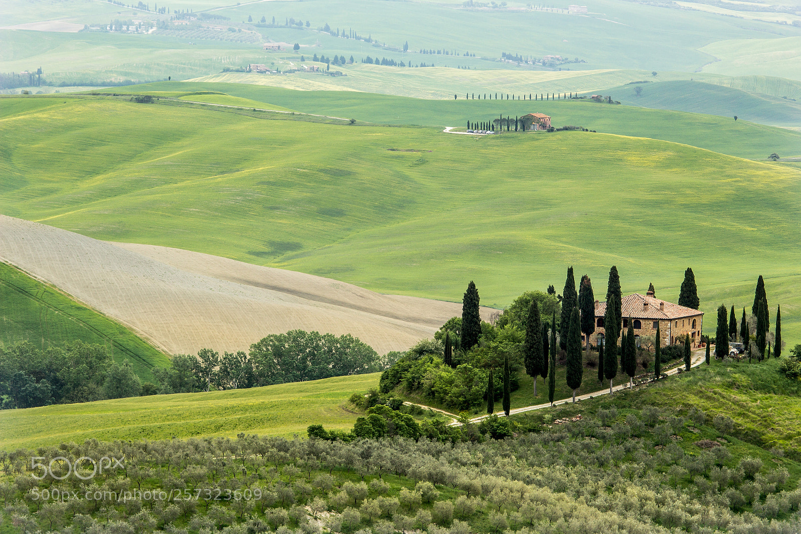 Canon EOS 1200D (EOS Rebel T5 / EOS Kiss X70 / EOS Hi) sample photo. Podere belvedere photography