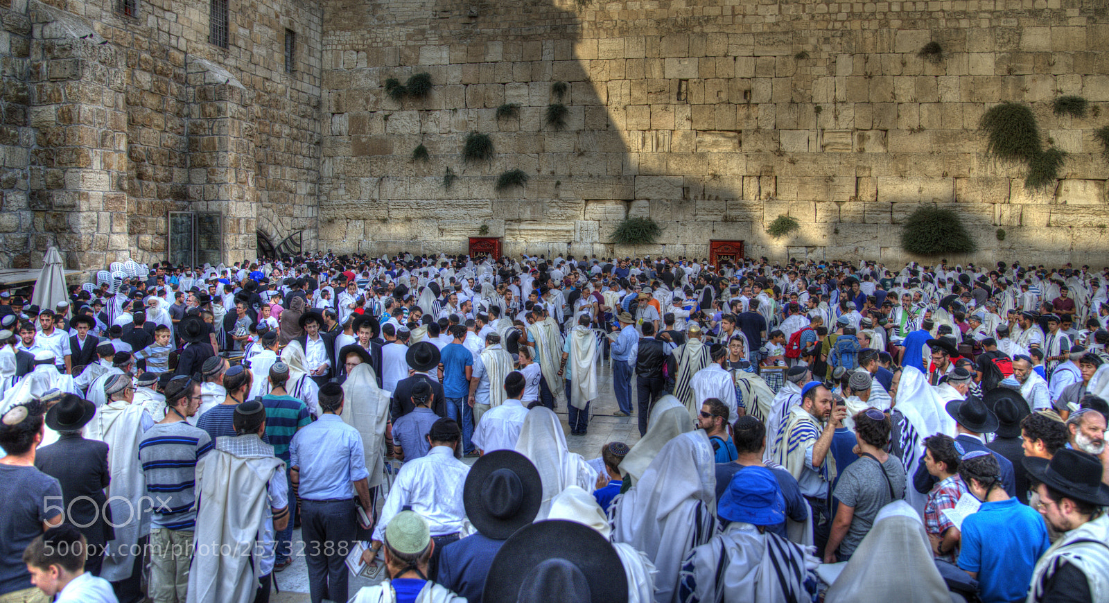 Nikon D610 sample photo. Prayers pray at the photography