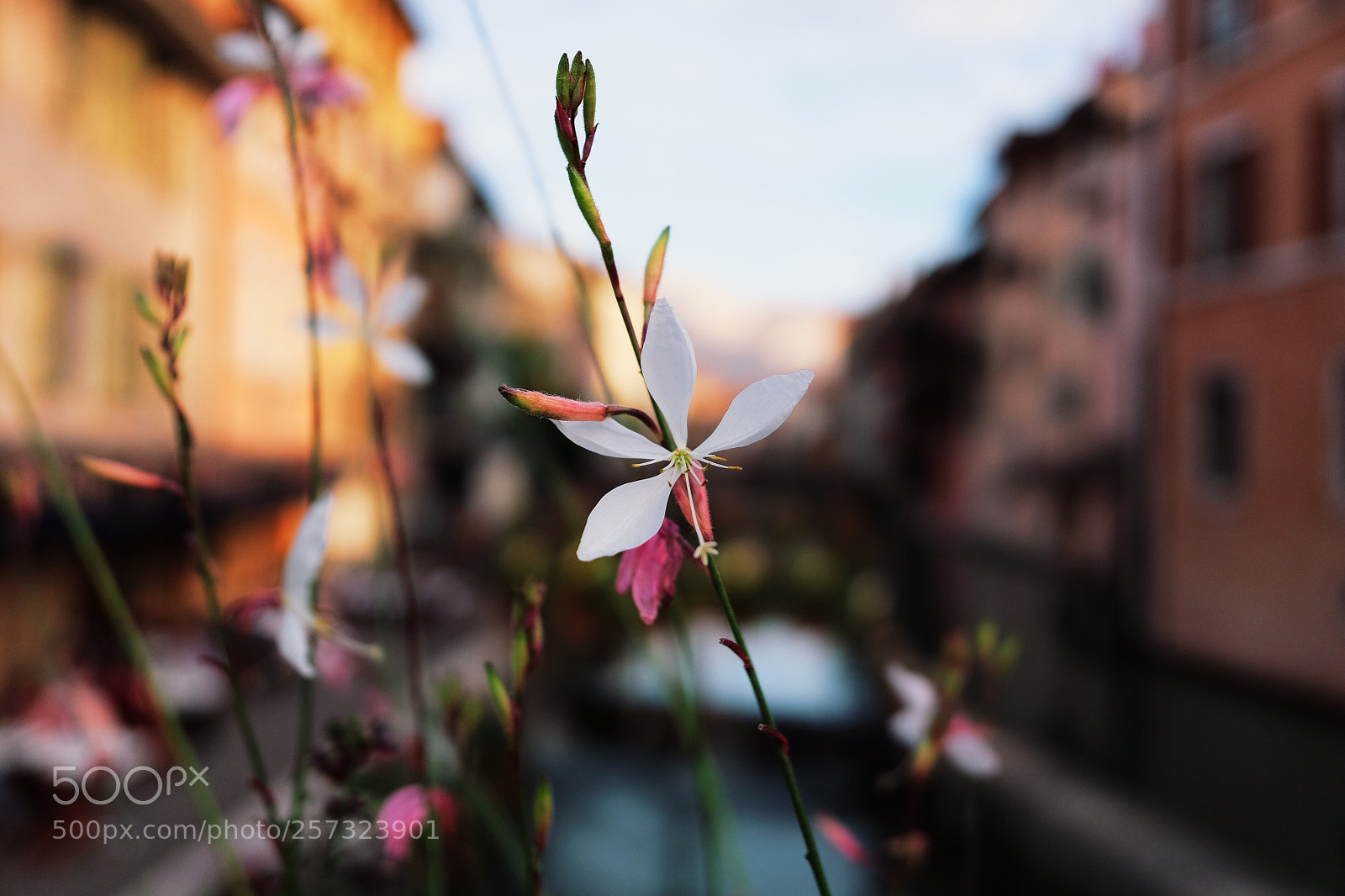 Fujifilm X70 sample photo. Annecy  photography