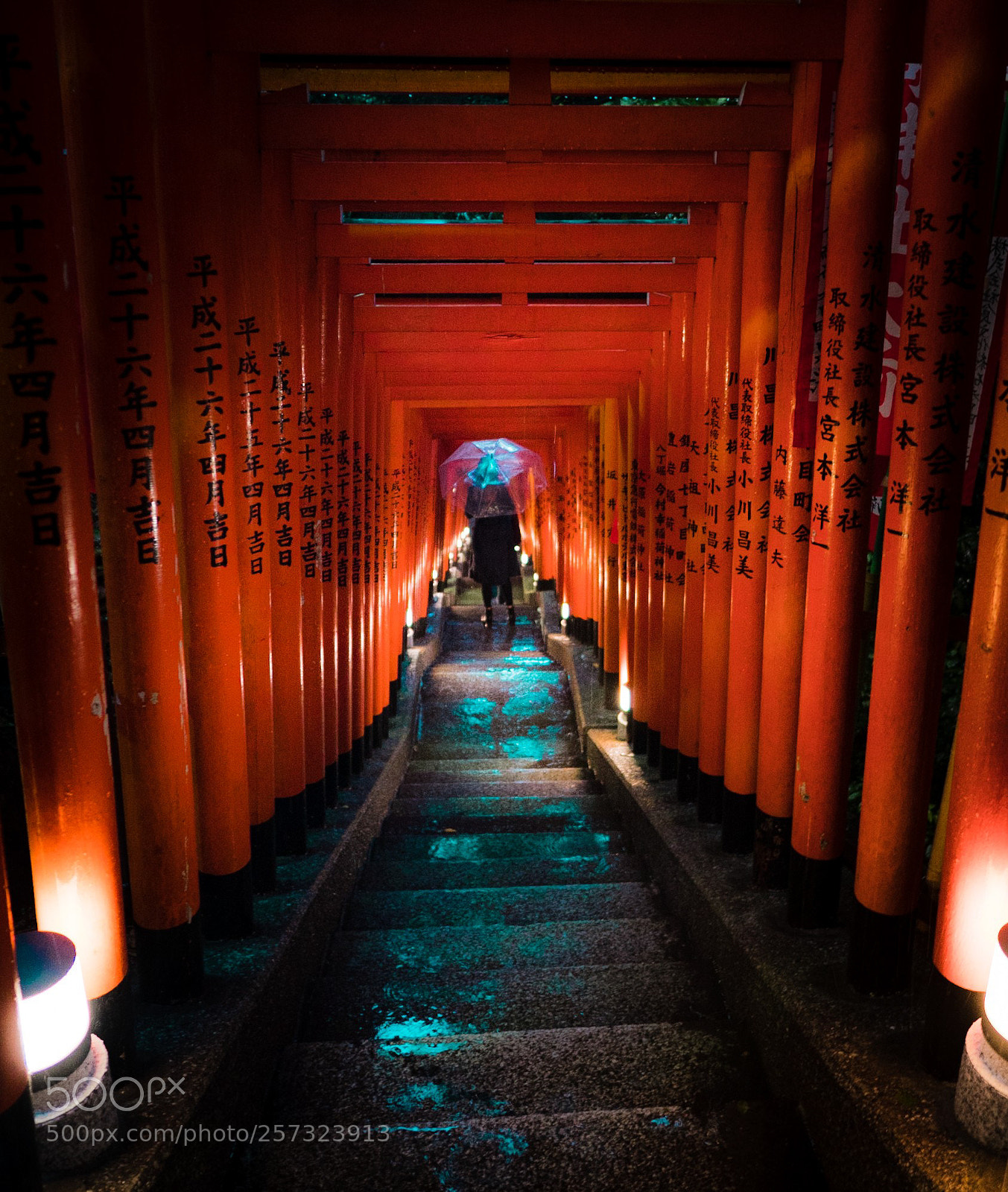 Panasonic Lumix DMC-GX8 sample photo. Subject hunting photography