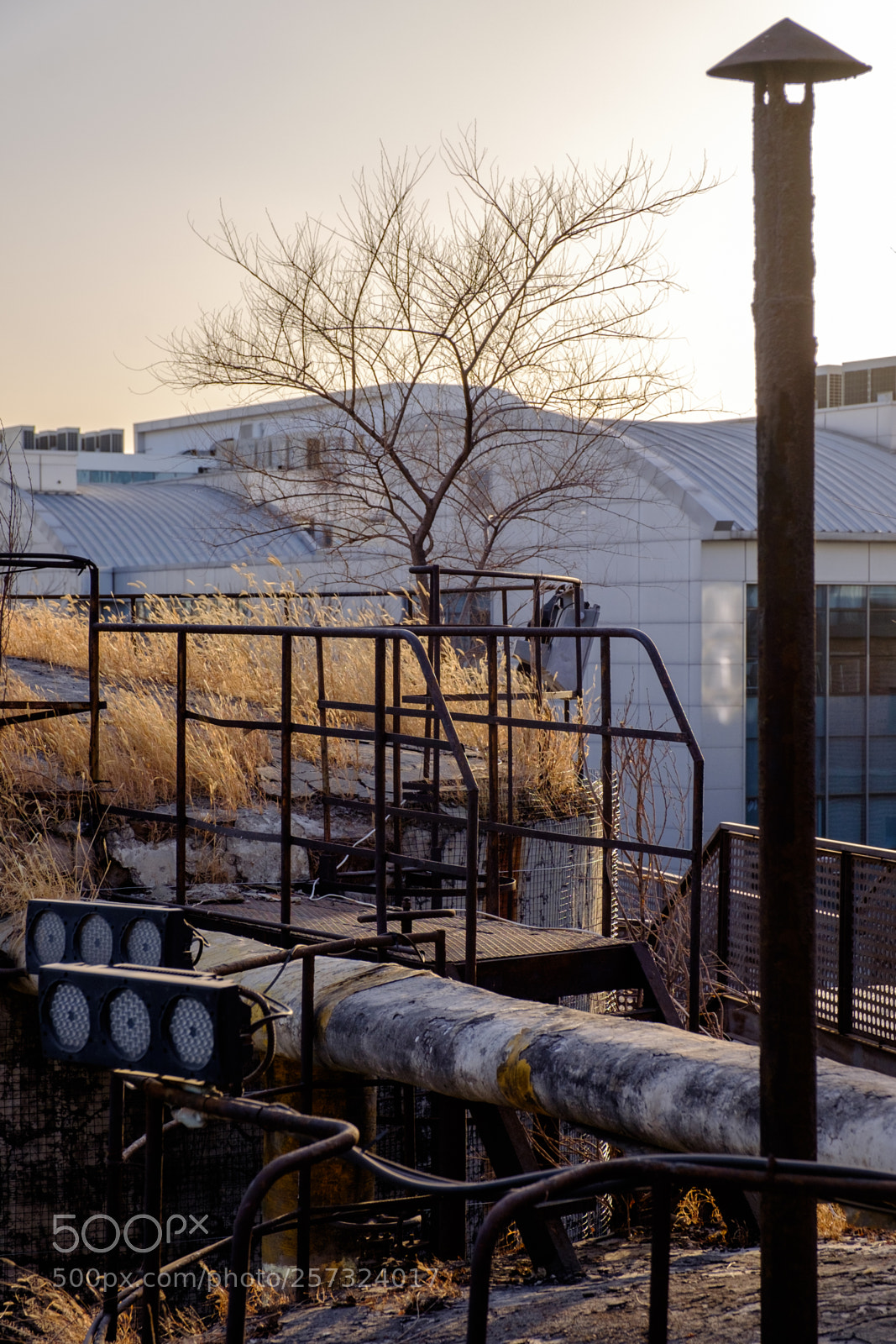 Fujifilm X-T1 sample photo. An abandoned factory in photography
