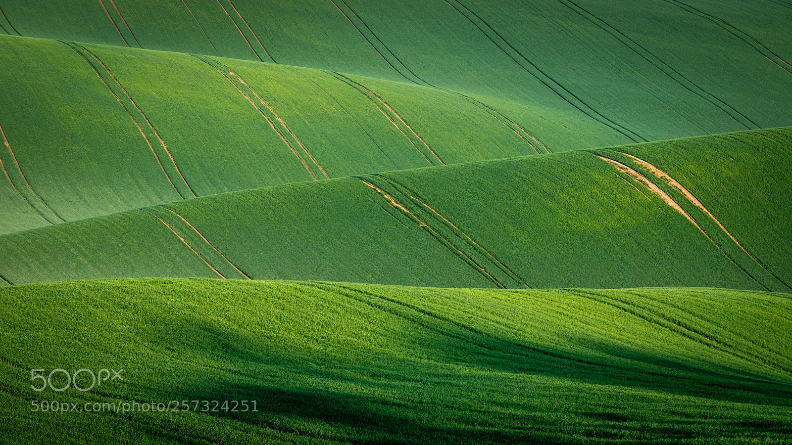 Canon EOS 6D Mark II sample photo. Moravian rolling hills iii photography