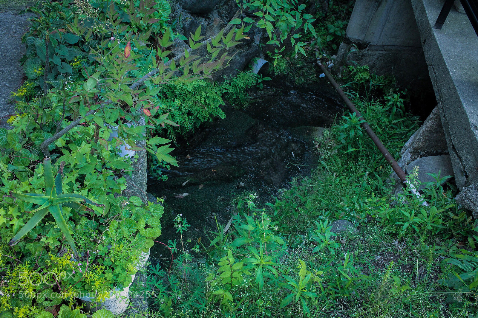 Canon EOS 60D sample photo. Untitled photography
