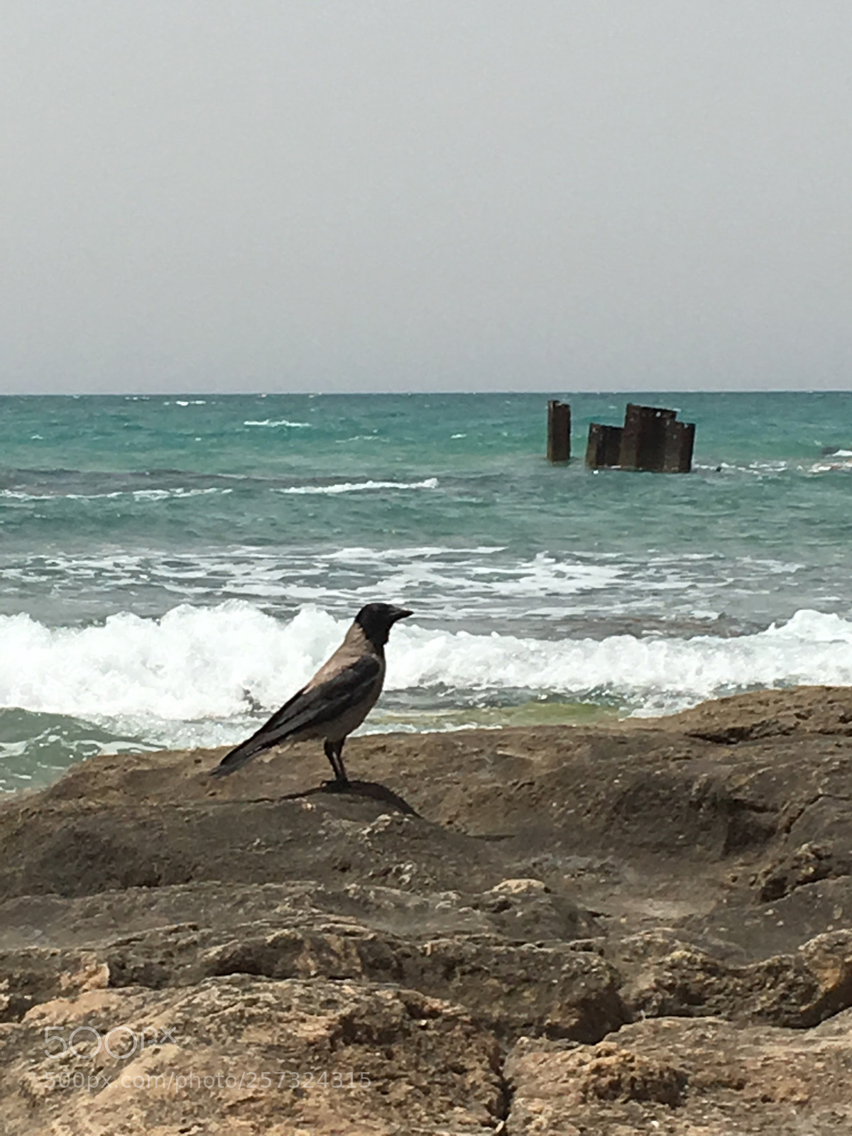 Apple iPhone 6s sample photo. Palmachim beach tlv photography