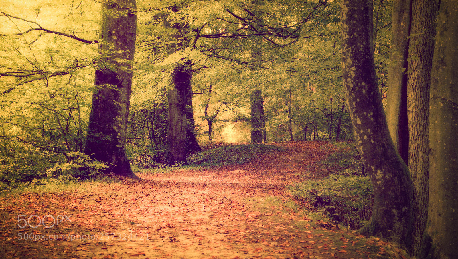 Canon EOS 7D sample photo. Sanctuary iii photography