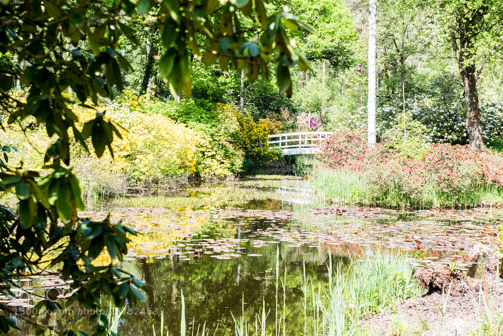 Nikon D810 sample photo. Seleger moor photography
