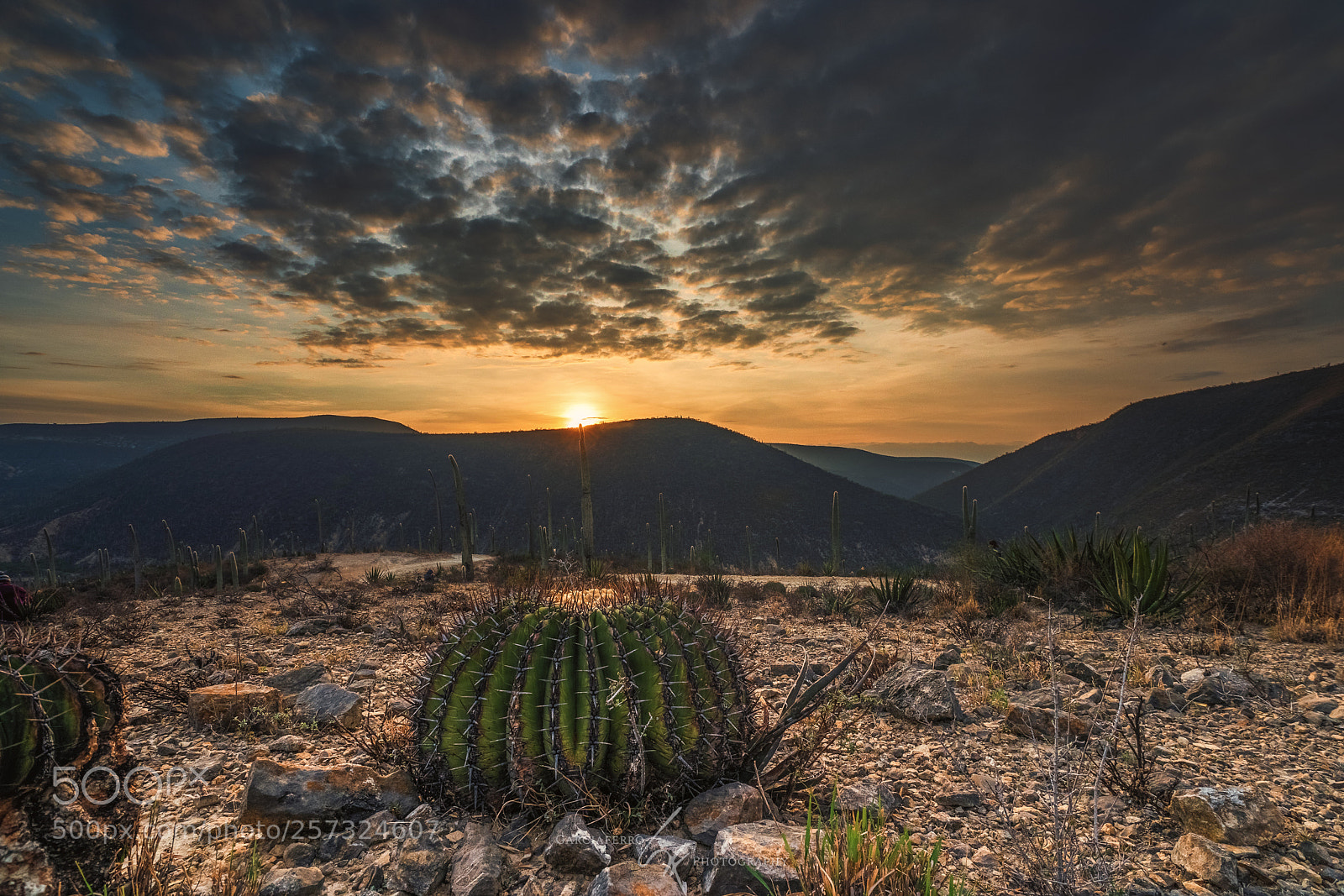 Sony a9 sample photo. Sunrise photography