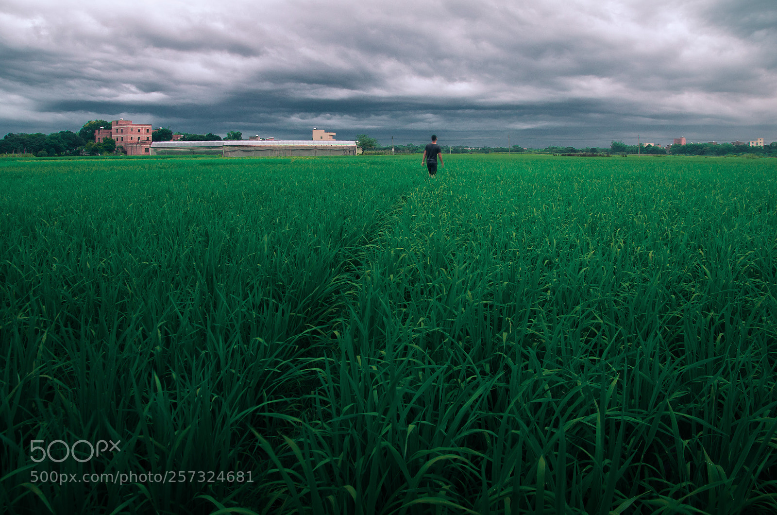 Pentax K-5 II sample photo. Untitled photography