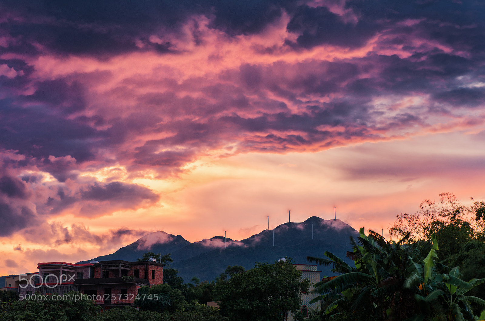 Pentax K-5 II sample photo. Untitled photography