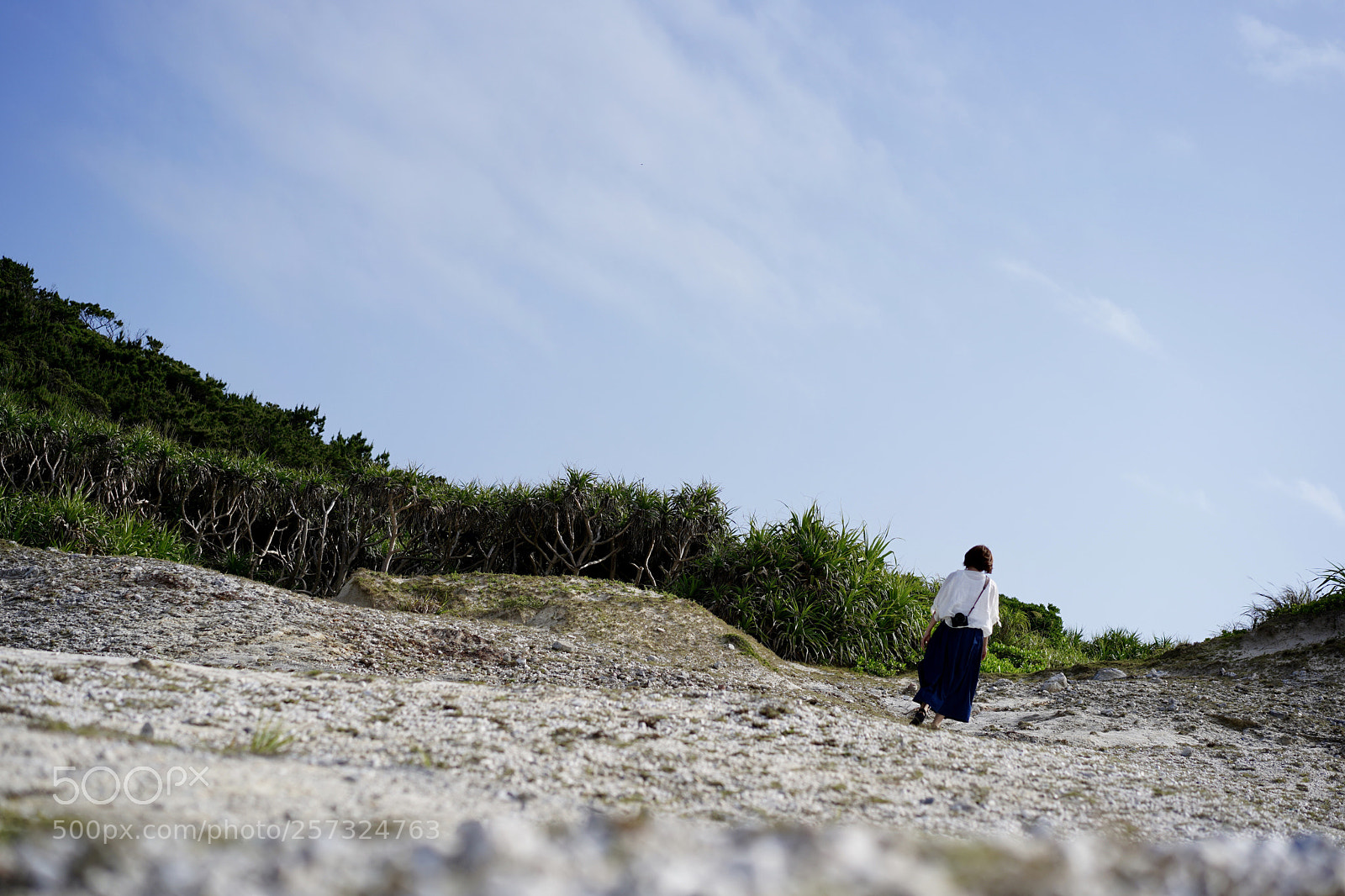 Sony a7 III sample photo. Walking the island photography
