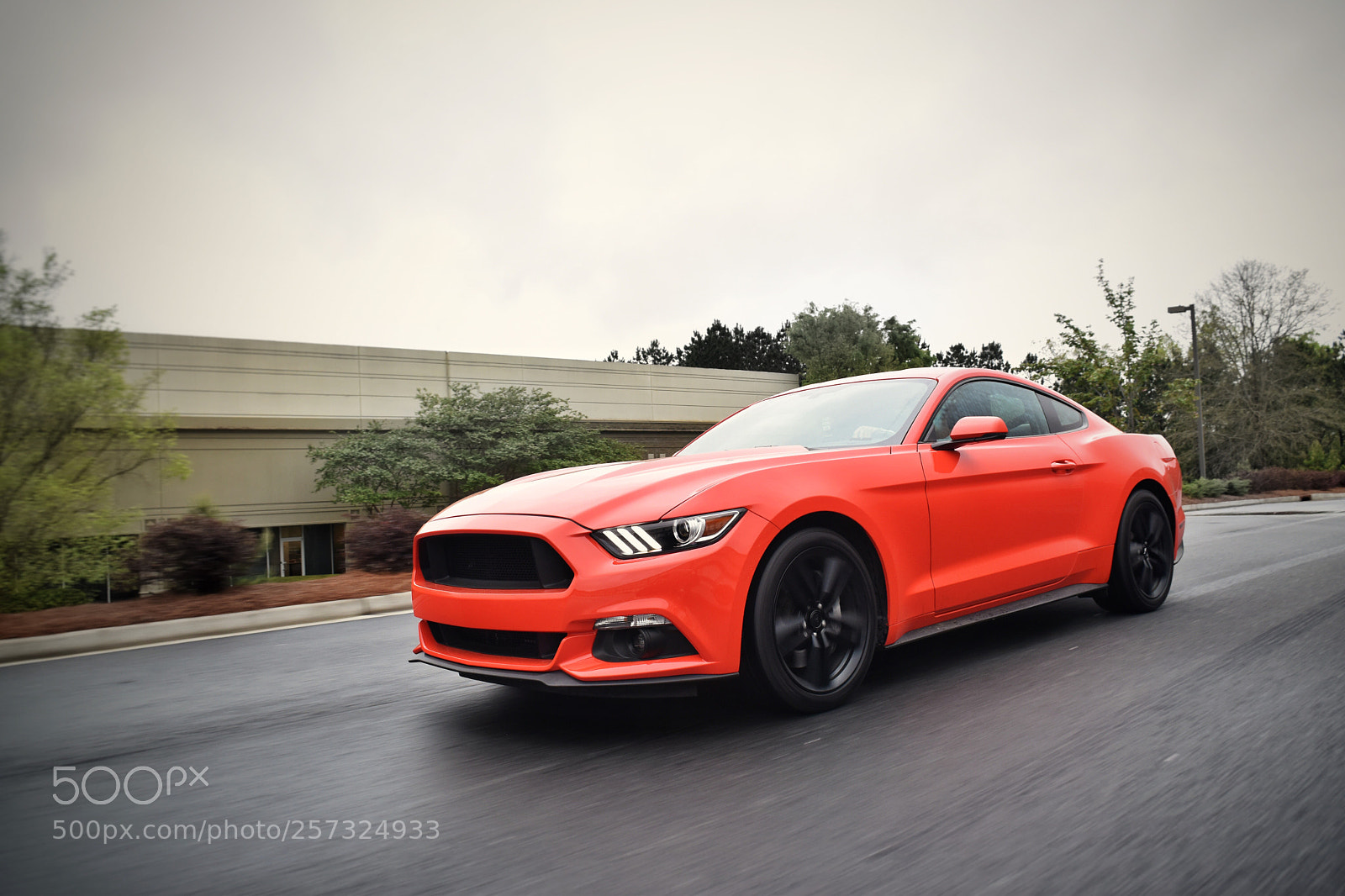 Nikon D5500 sample photo. 4 banger muscle photography