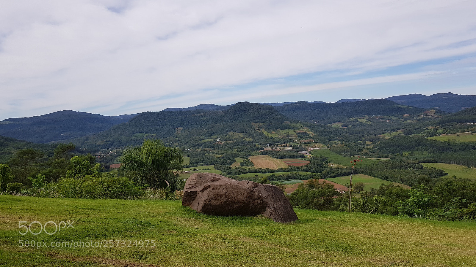 Samsung Galaxy S8 sample photo. Linha nova belvedere photography