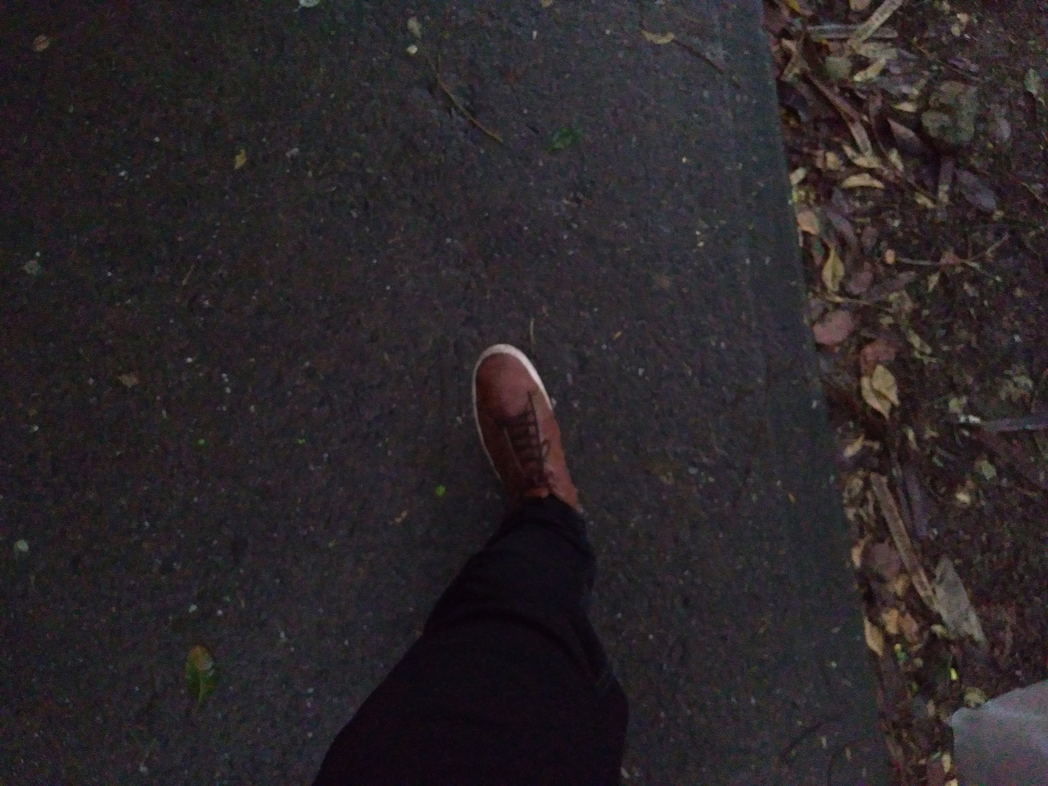 ASUS ZenFone 4 Max (ZC554KL) sample photo. Step photography