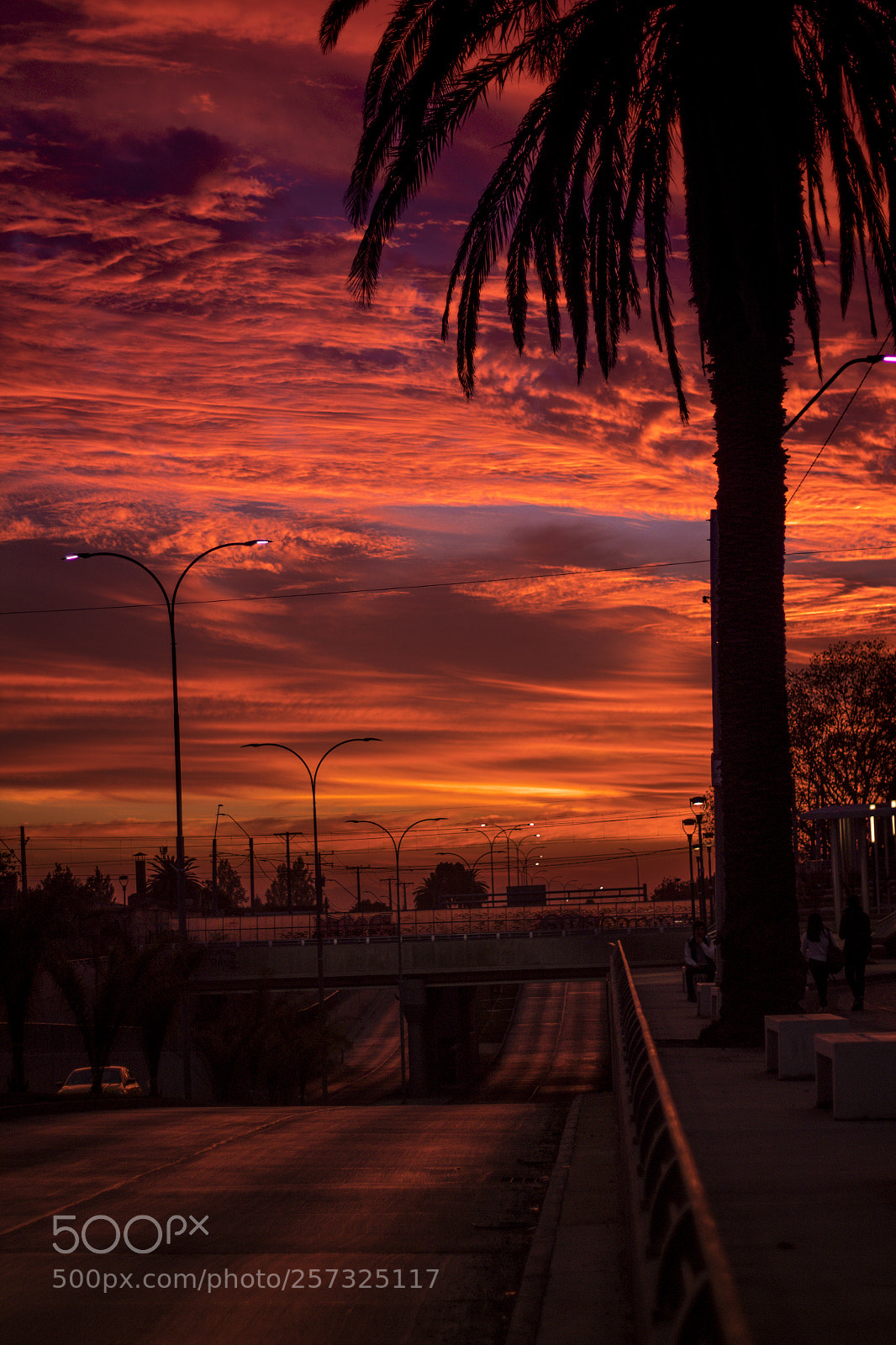Canon EOS 1300D (EOS Rebel T6 / EOS Kiss X80) sample photo. Atardecer renguino photography