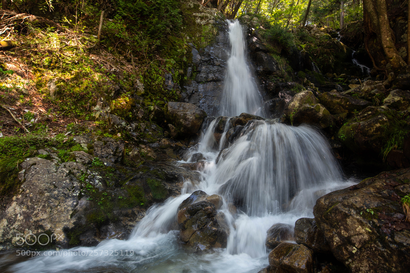 Nikon D810 sample photo. White water photography