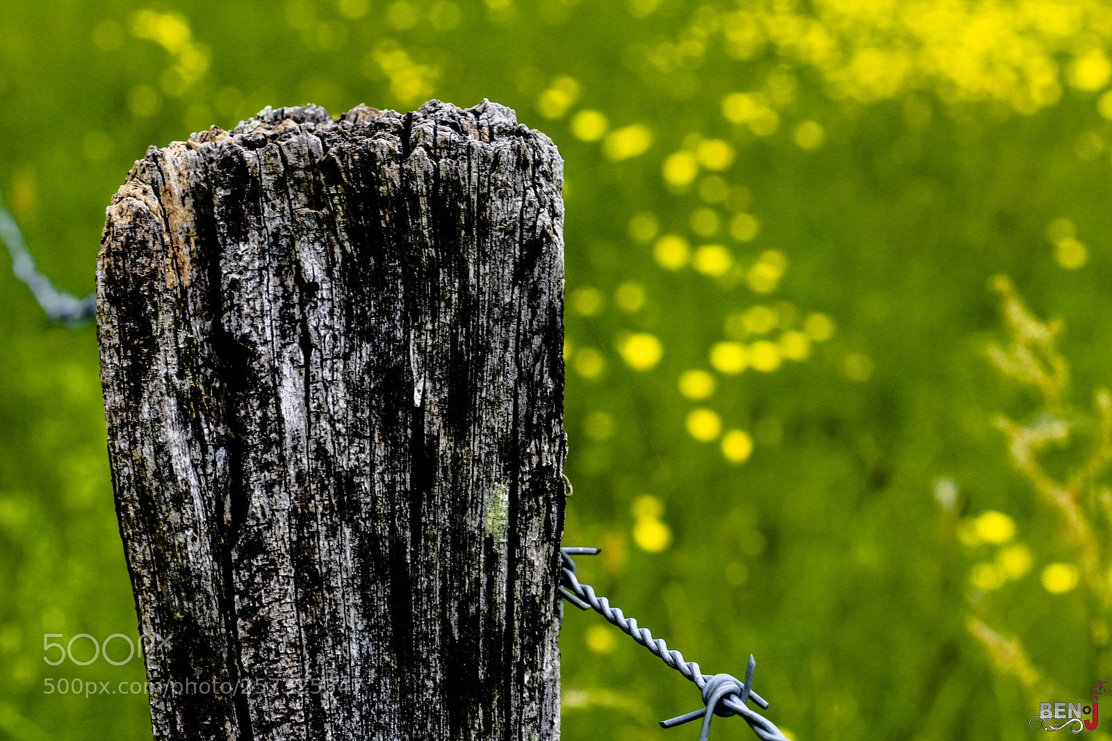 Canon EOS 70D sample photo. Untitled photography