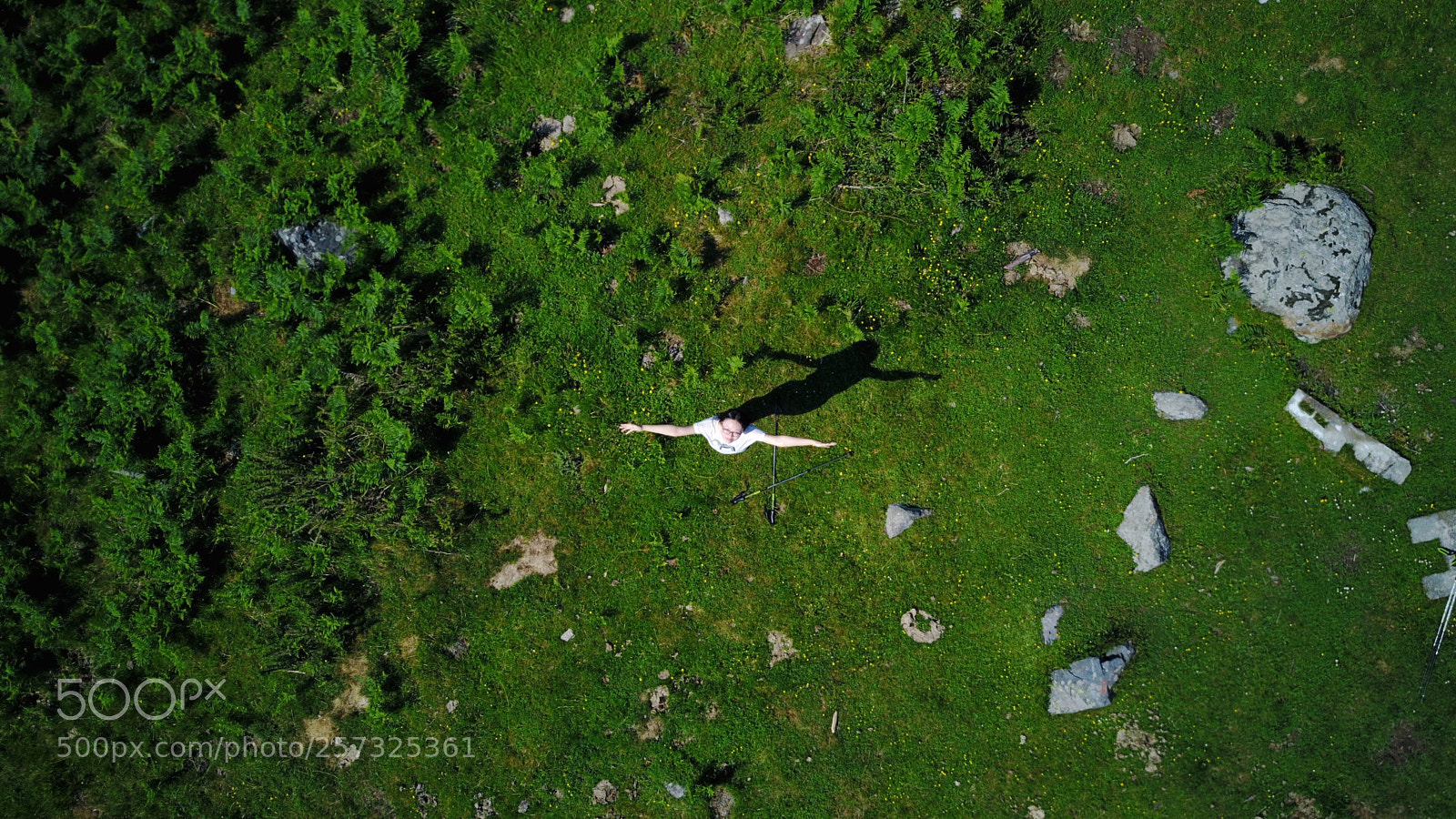 DJI FC220 sample photo. Untitled photography