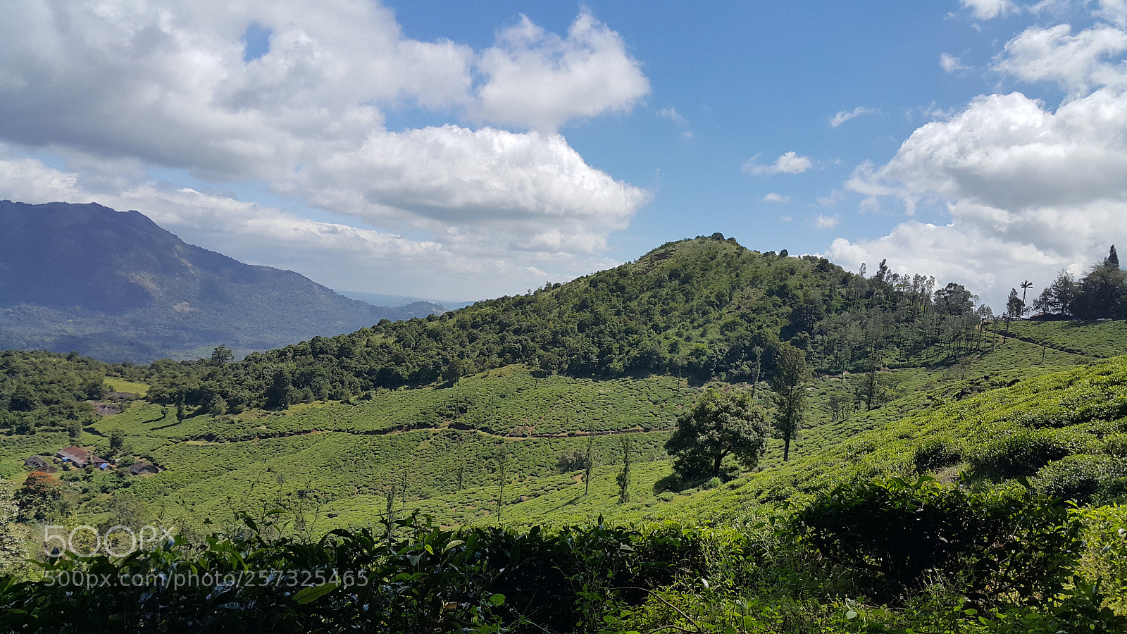 Samsung Galaxy Note4 sample photo. Untitled photography