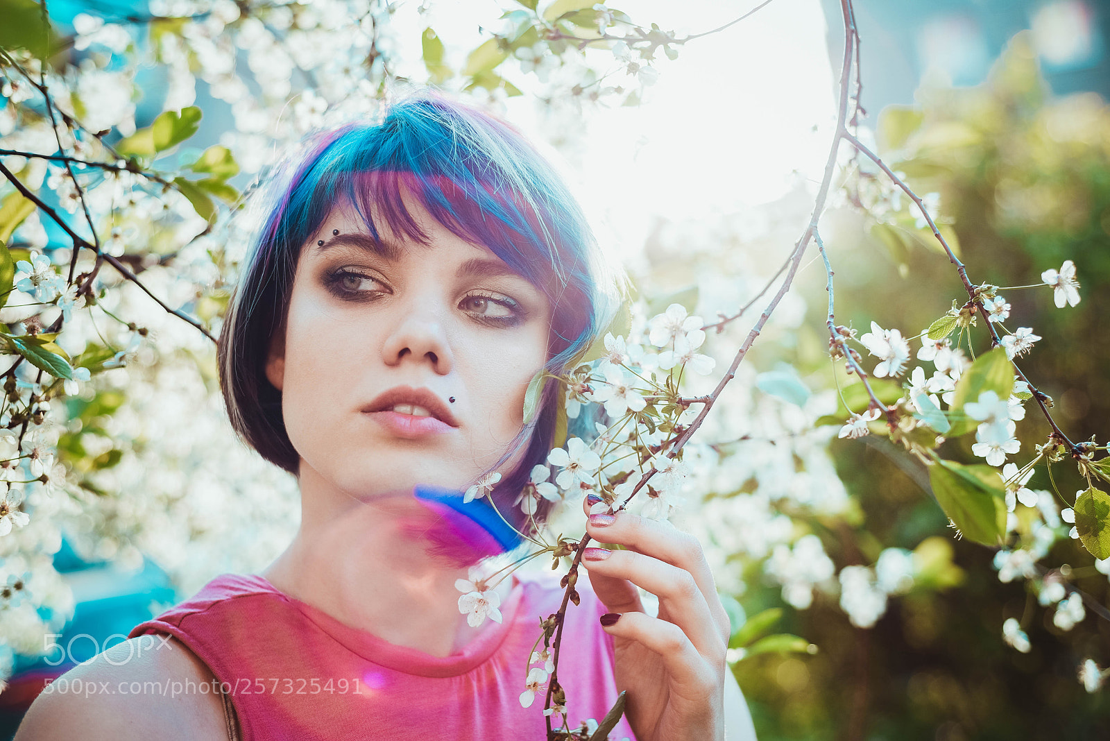 Nikon D750 sample photo. Sunlight photography