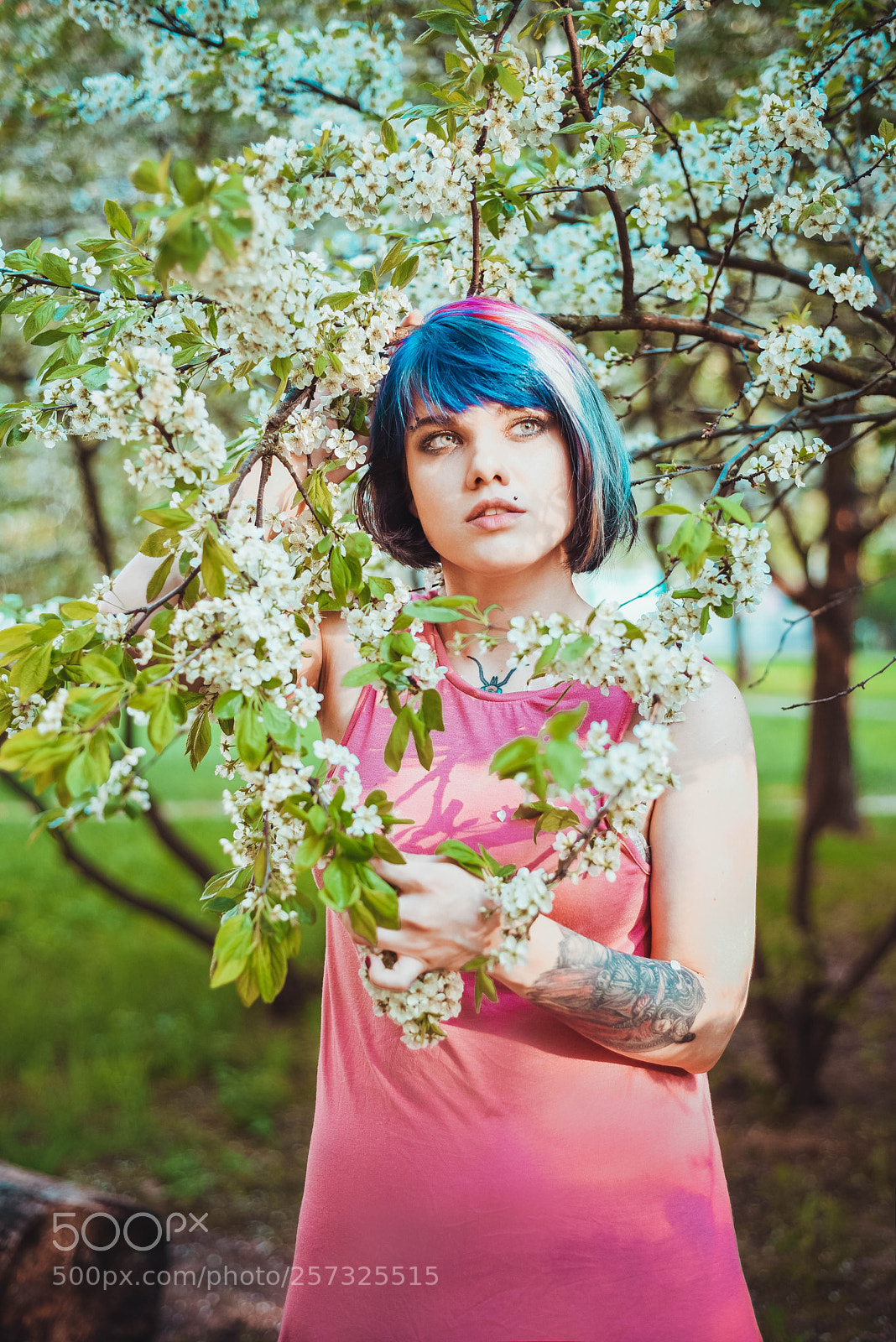 Nikon D750 sample photo. Flowers photography
