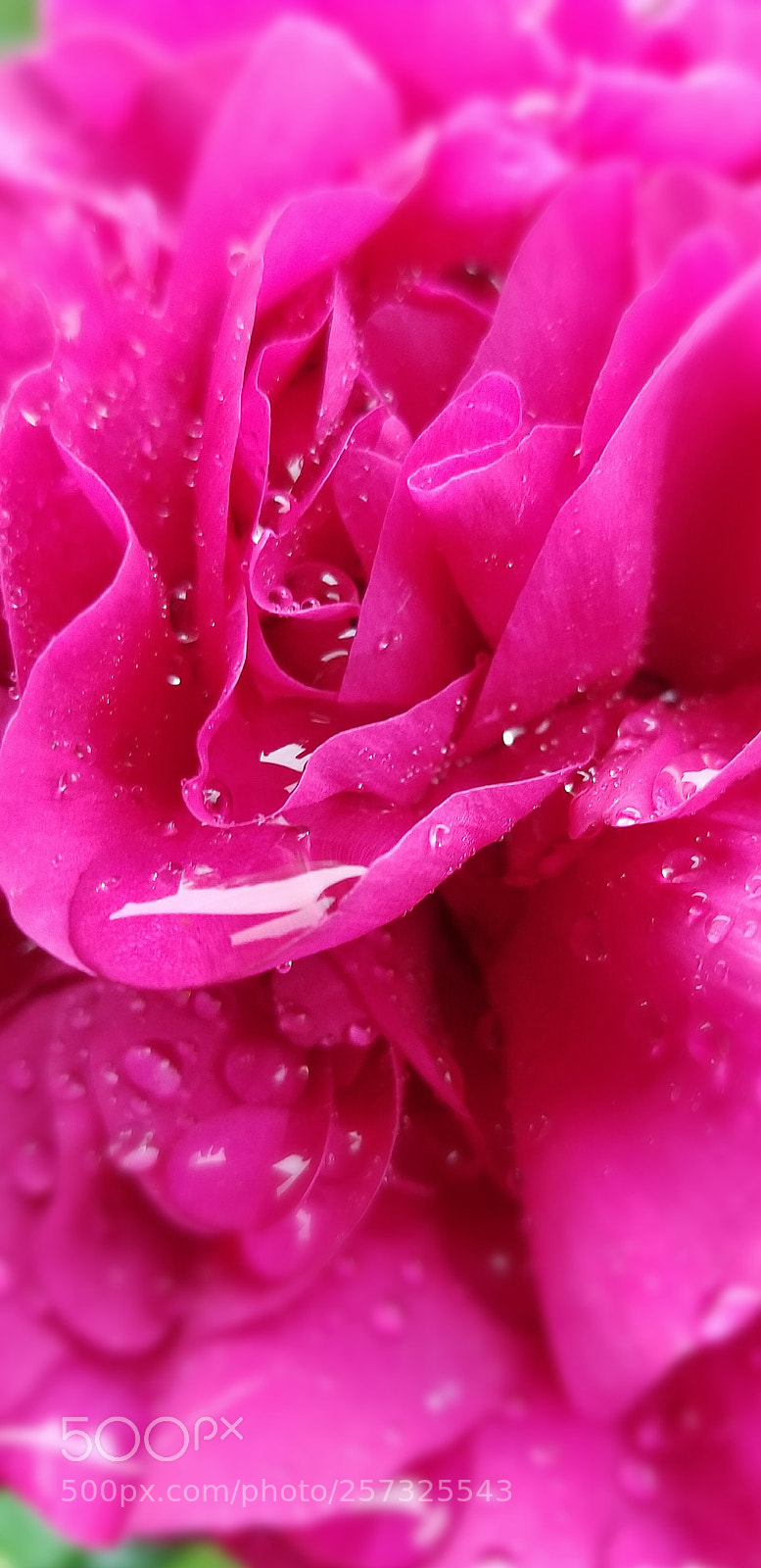 Samsung Galaxy S8 sample photo. After the rain photography