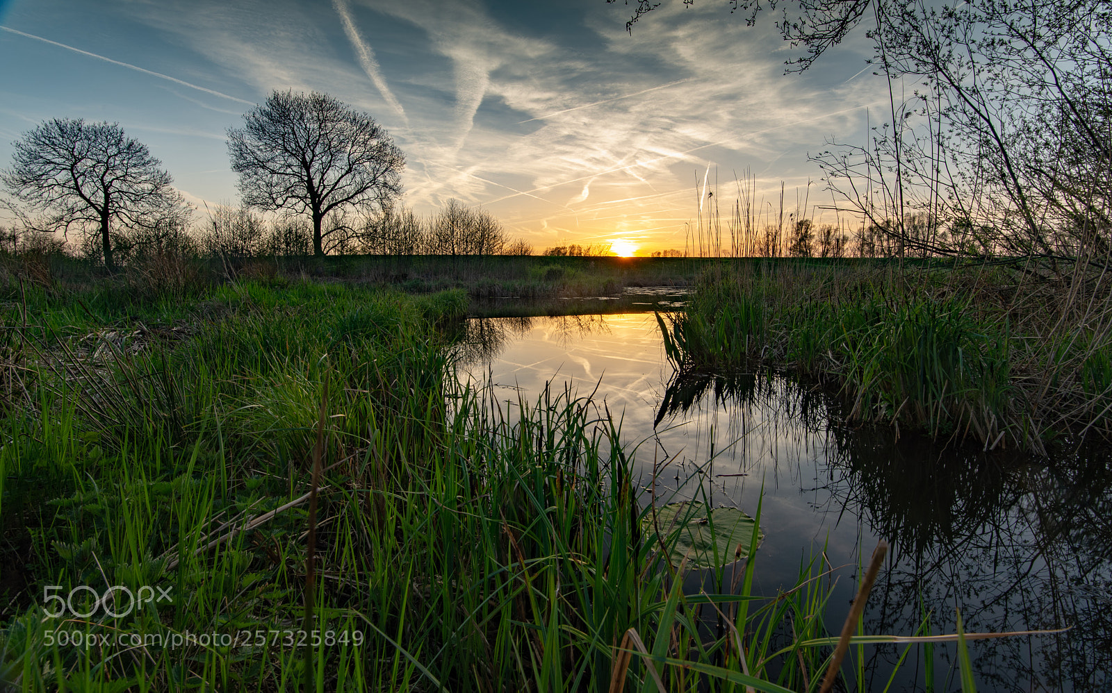 Nikon D610 sample photo. 3716 hdr photography