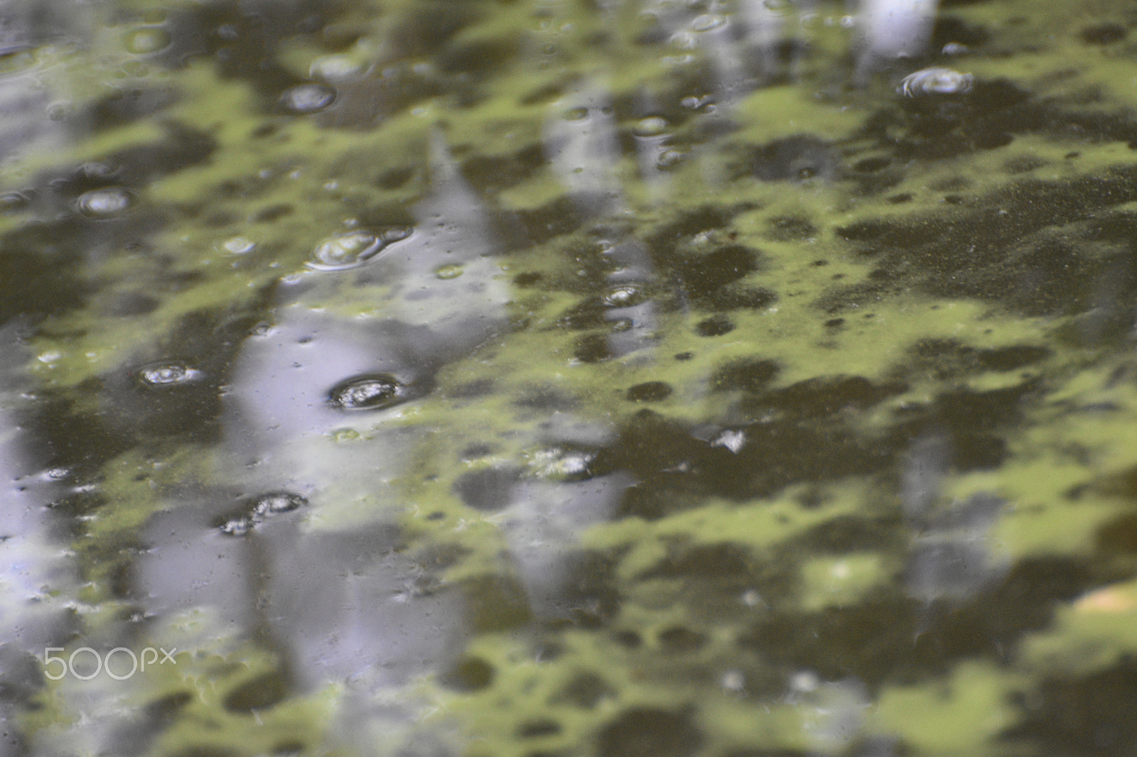 Nikon D7200 sample photo. Green lake photography