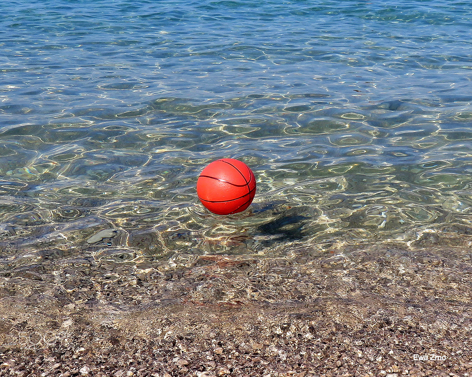 Canon PowerShot SX700 HS sample photo. Forgotten ball. photography