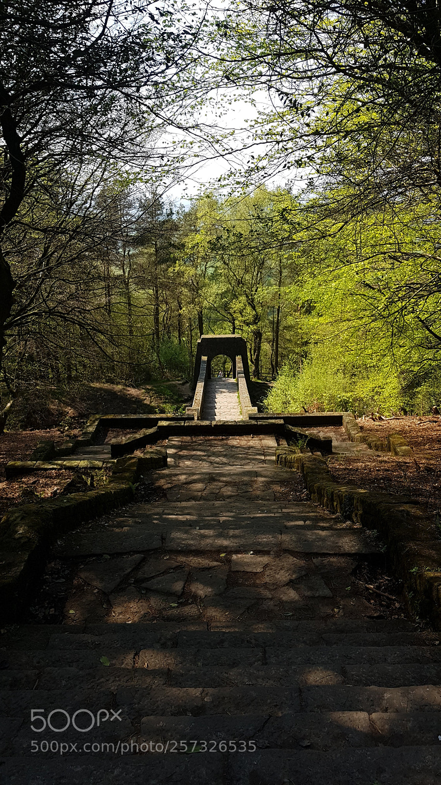 Samsung Galaxy S8+ sample photo. Untitled photography
