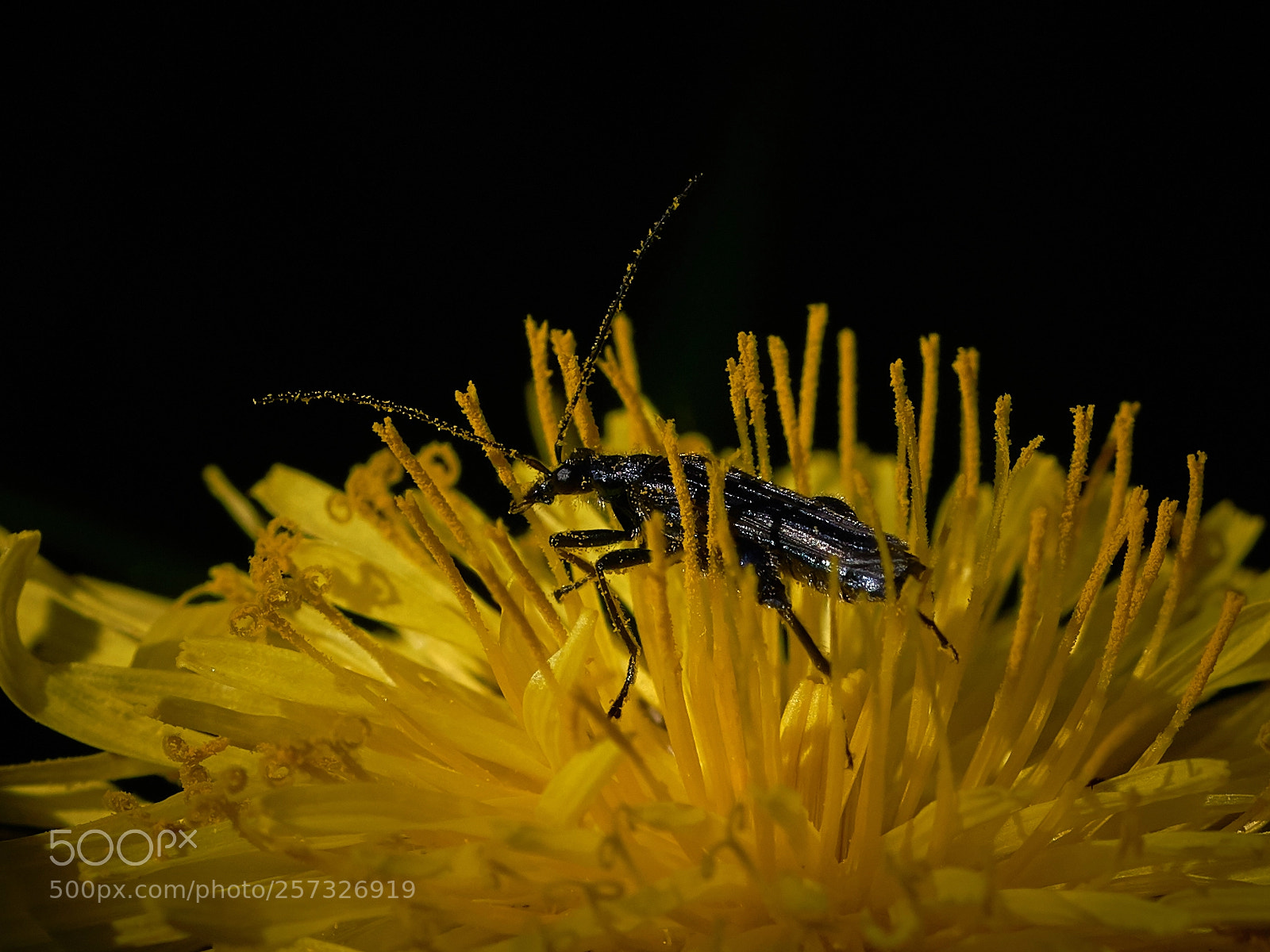 Sony ILCA-77M2 sample photo. ... photography