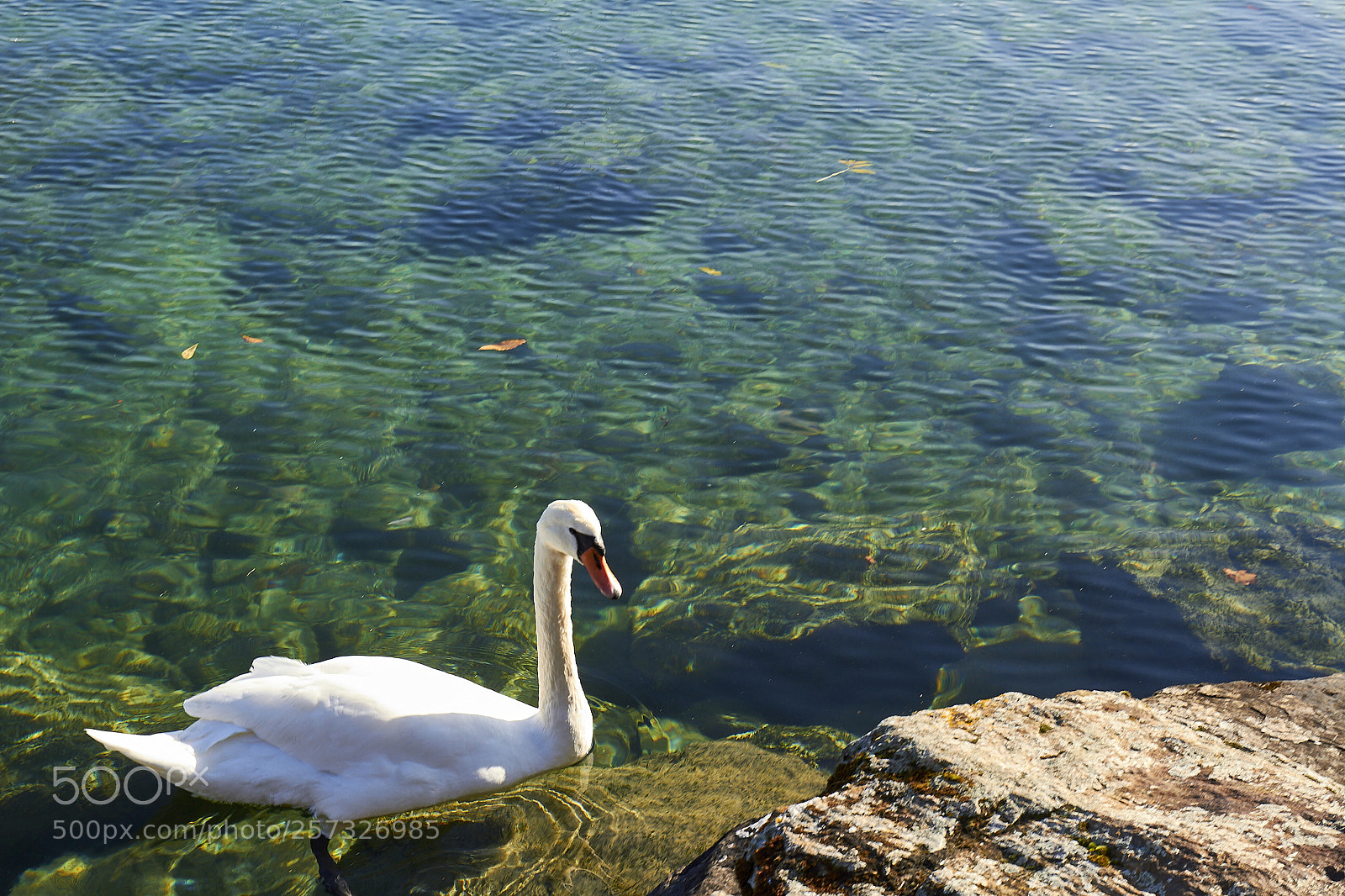 Canon EOS 7D sample photo. Lac l man, yvoire photography