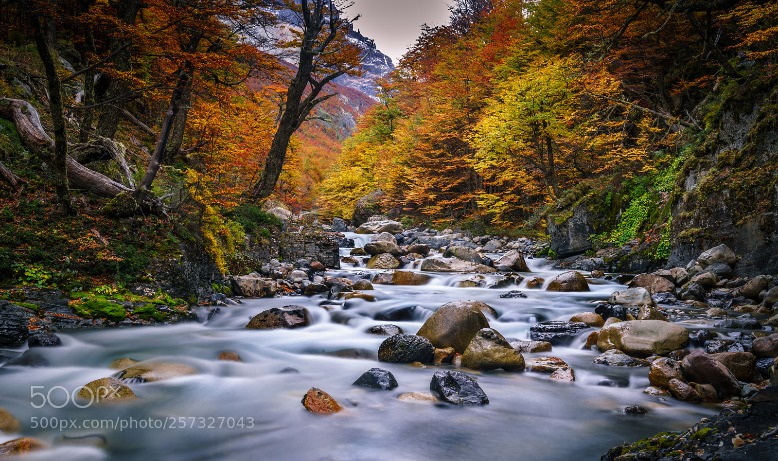 Sony a7R II sample photo. Fall colors in patagonia photography