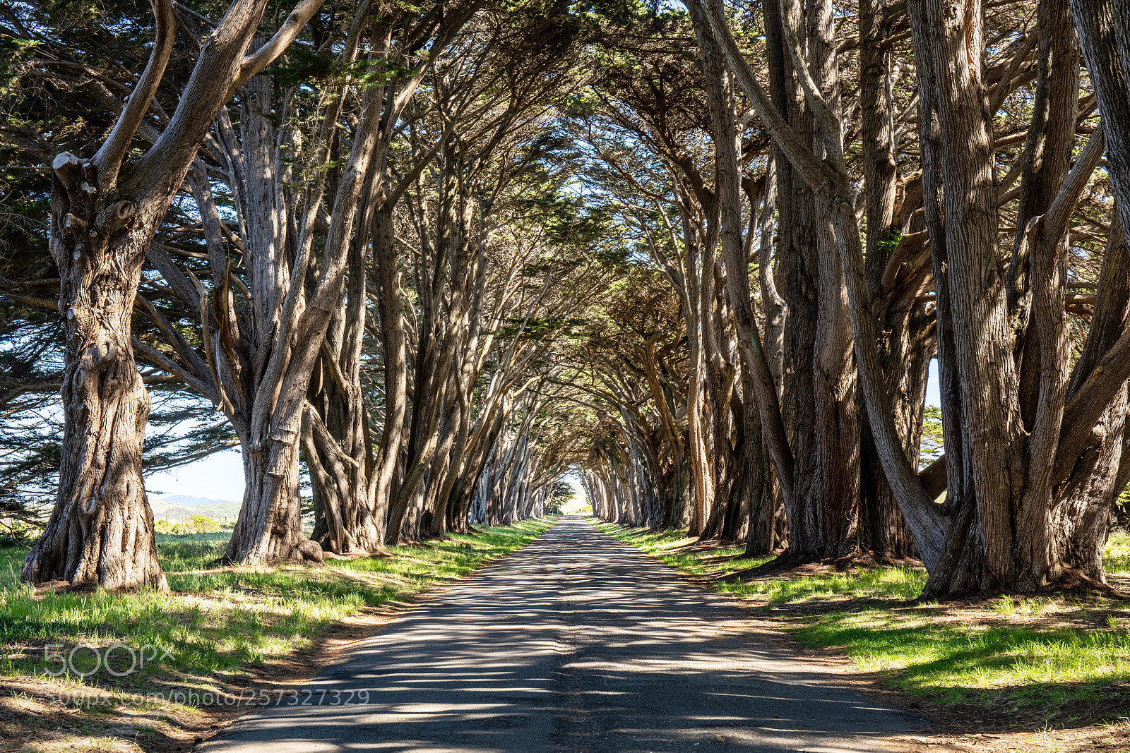 Canon EOS 5DS R sample photo. Tunnel view photography