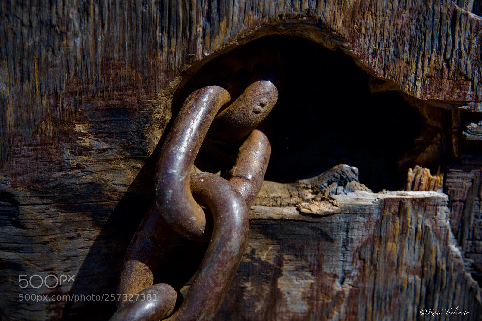 Nikon D500 sample photo. Chain photography