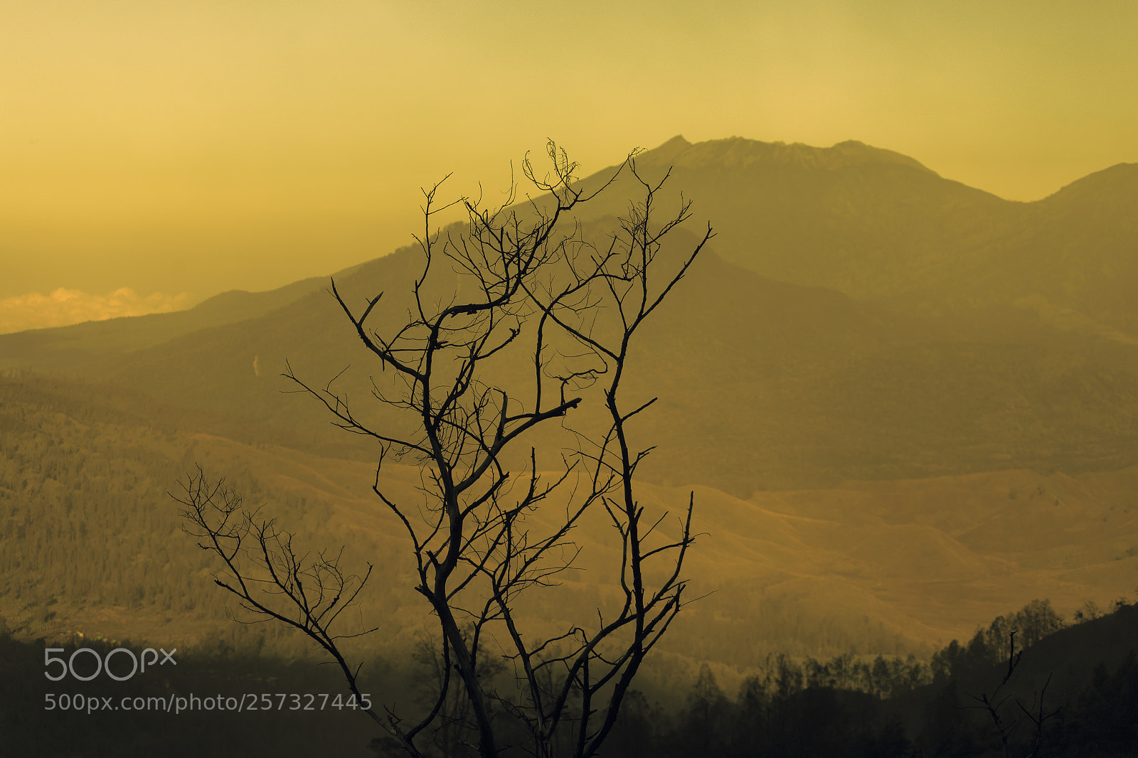 Canon EOS 6D sample photo. Lonely days photography