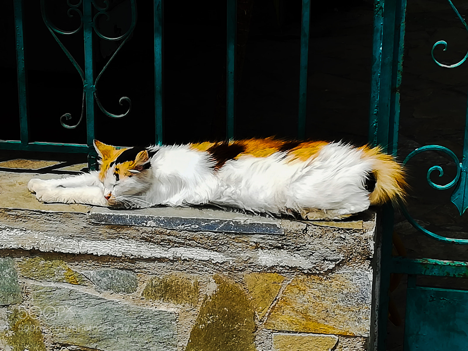 HUAWEI P10 lite sample photo. "i am so tired..." ?? photography