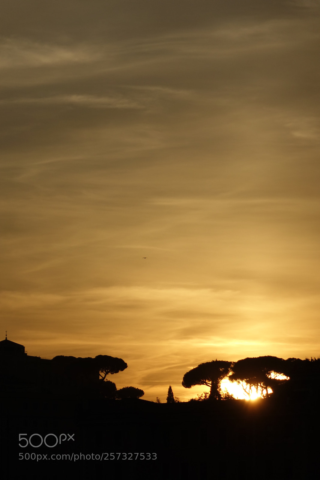 Sony Cyber-shot DSC-RX10 sample photo. Roma  photography
