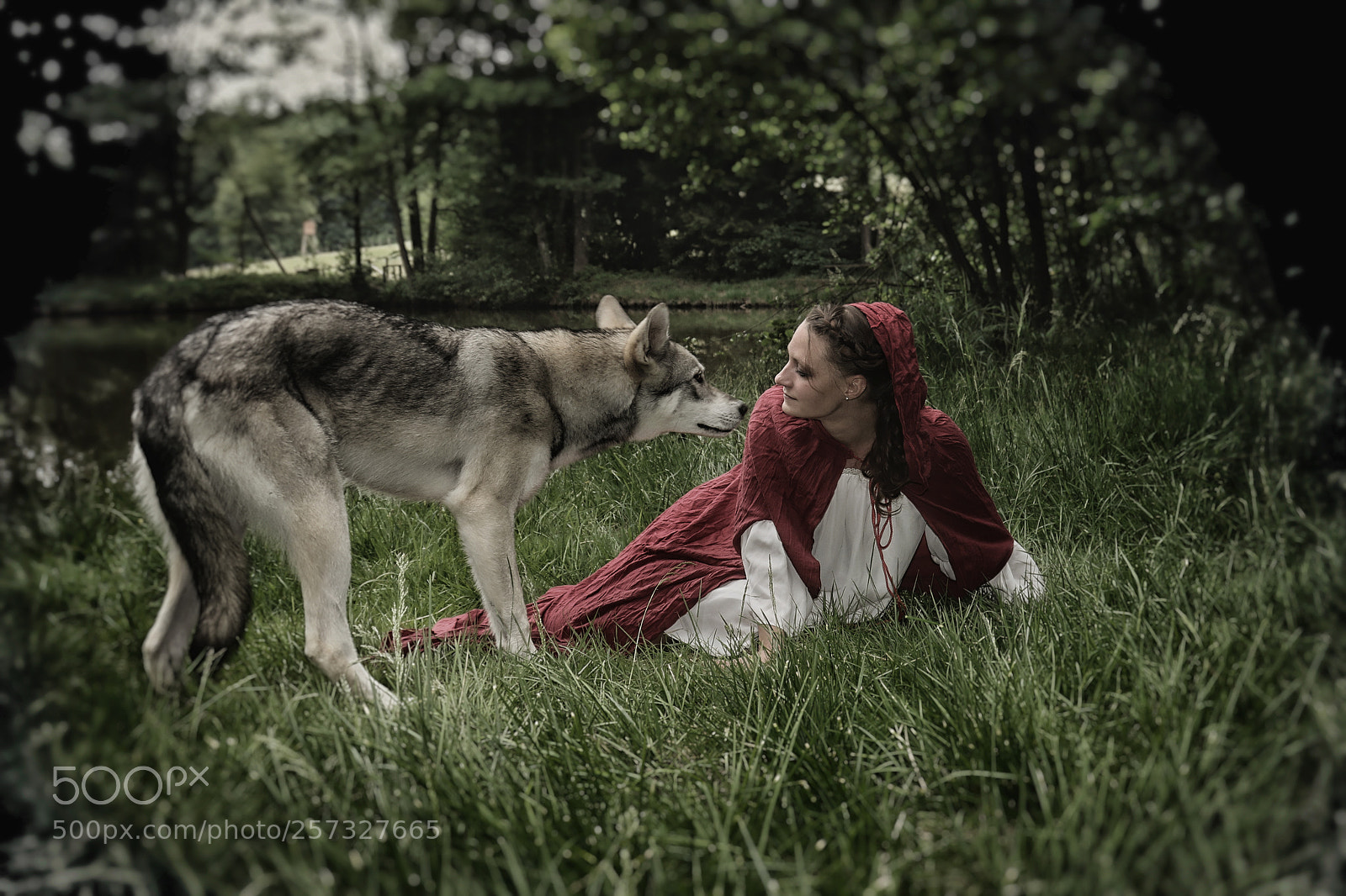Canon EOS 7D Mark II sample photo. A fairytale photography