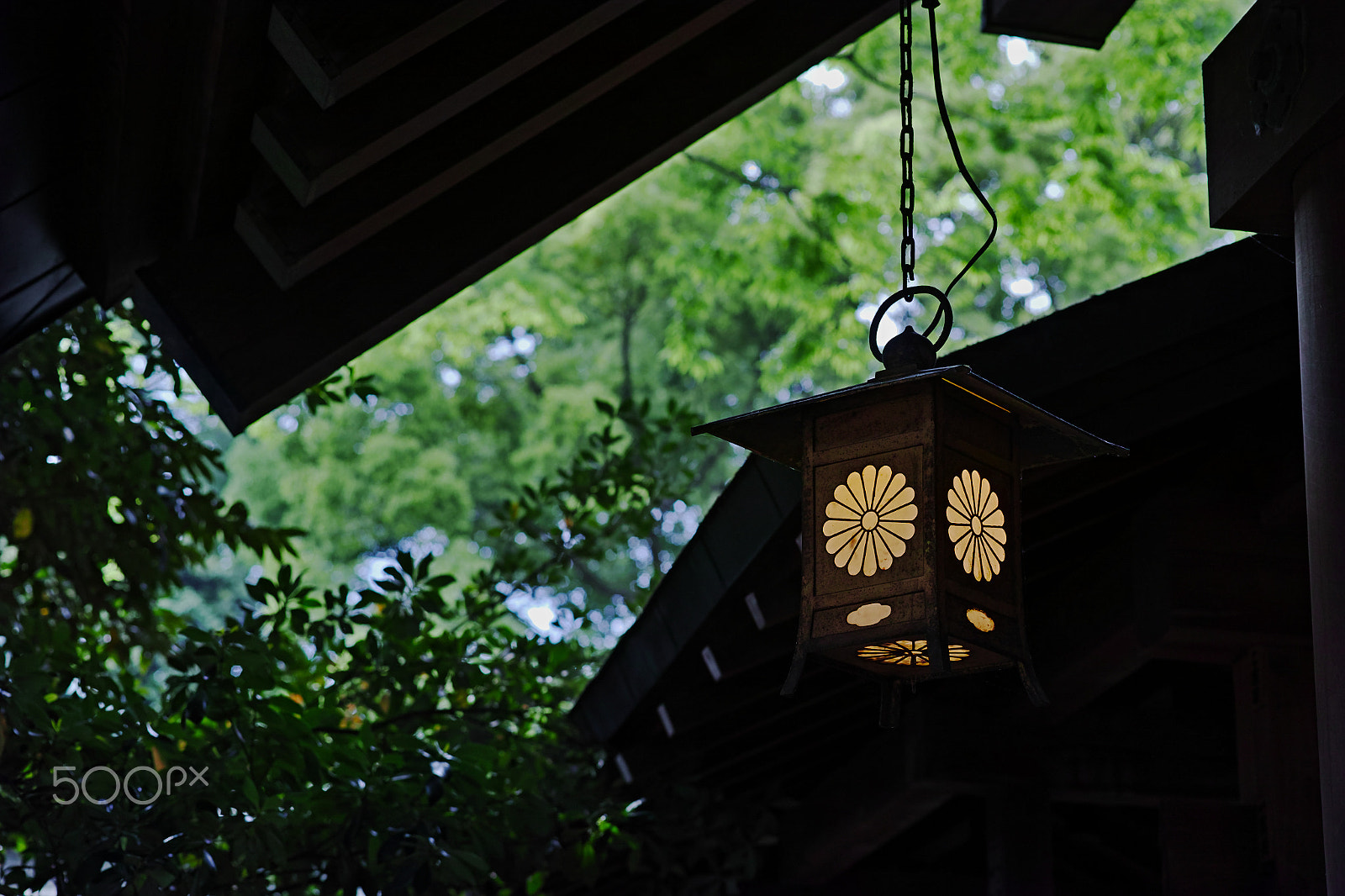 Sigma dp3 Quattro sample photo. Hikawa shrine photography